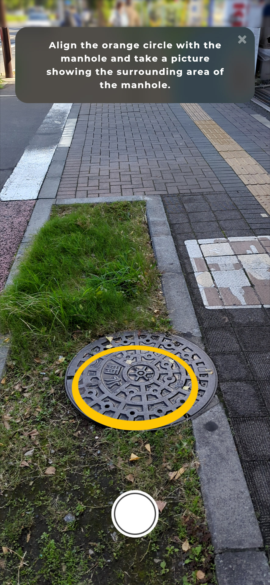 背景が写り込むように撮影