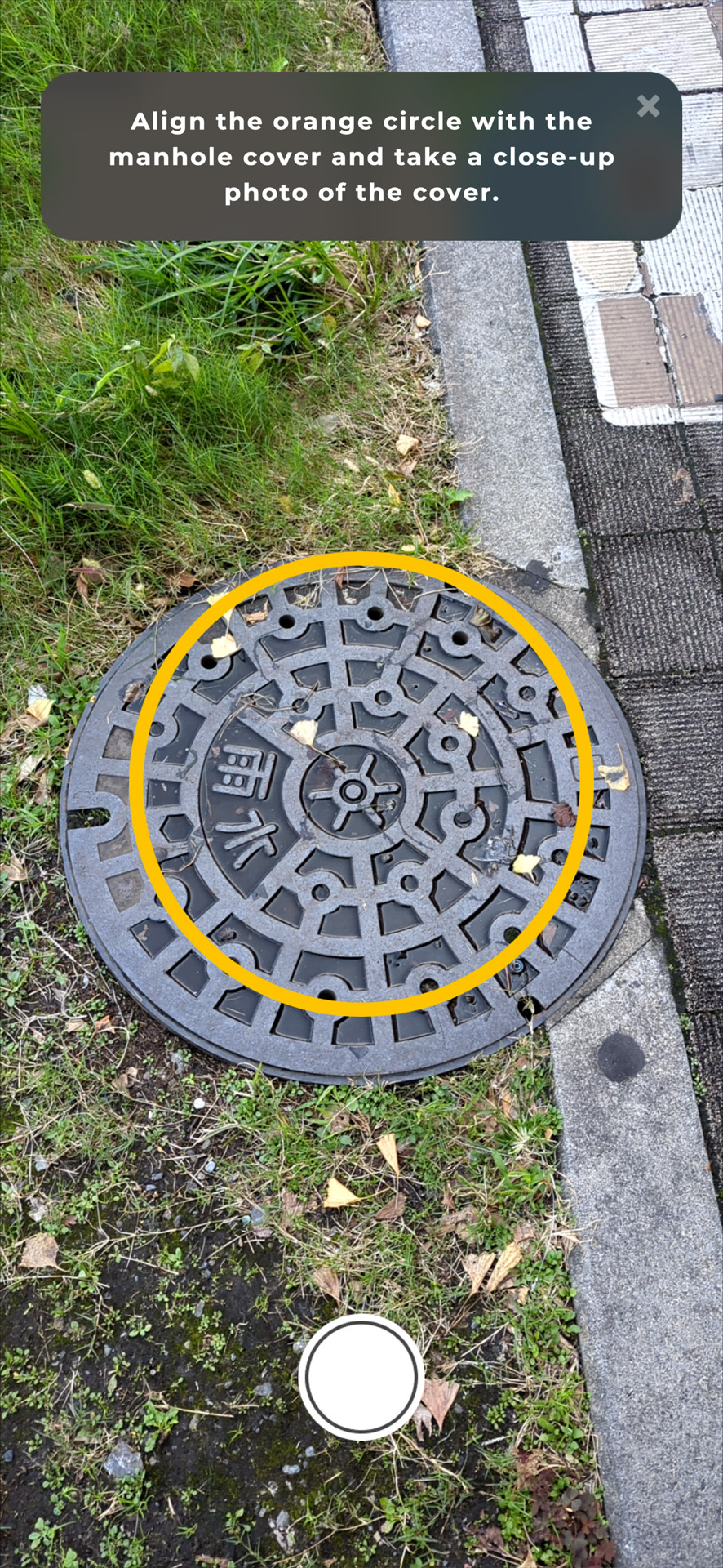 マンホールを大きく撮影