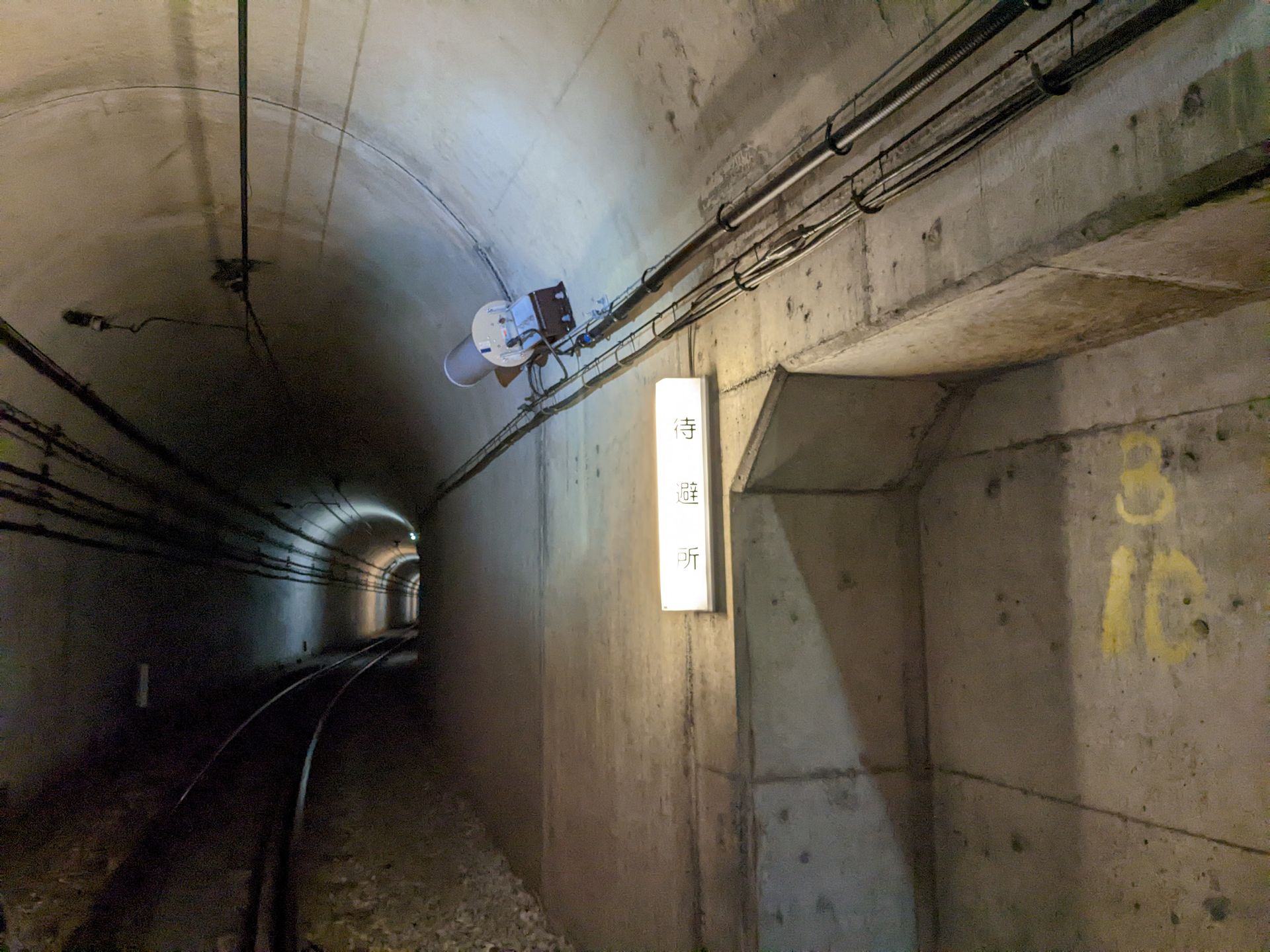 列車が通過する際の一時的な避難場所として、“待避所”が一定間隔で設けられている