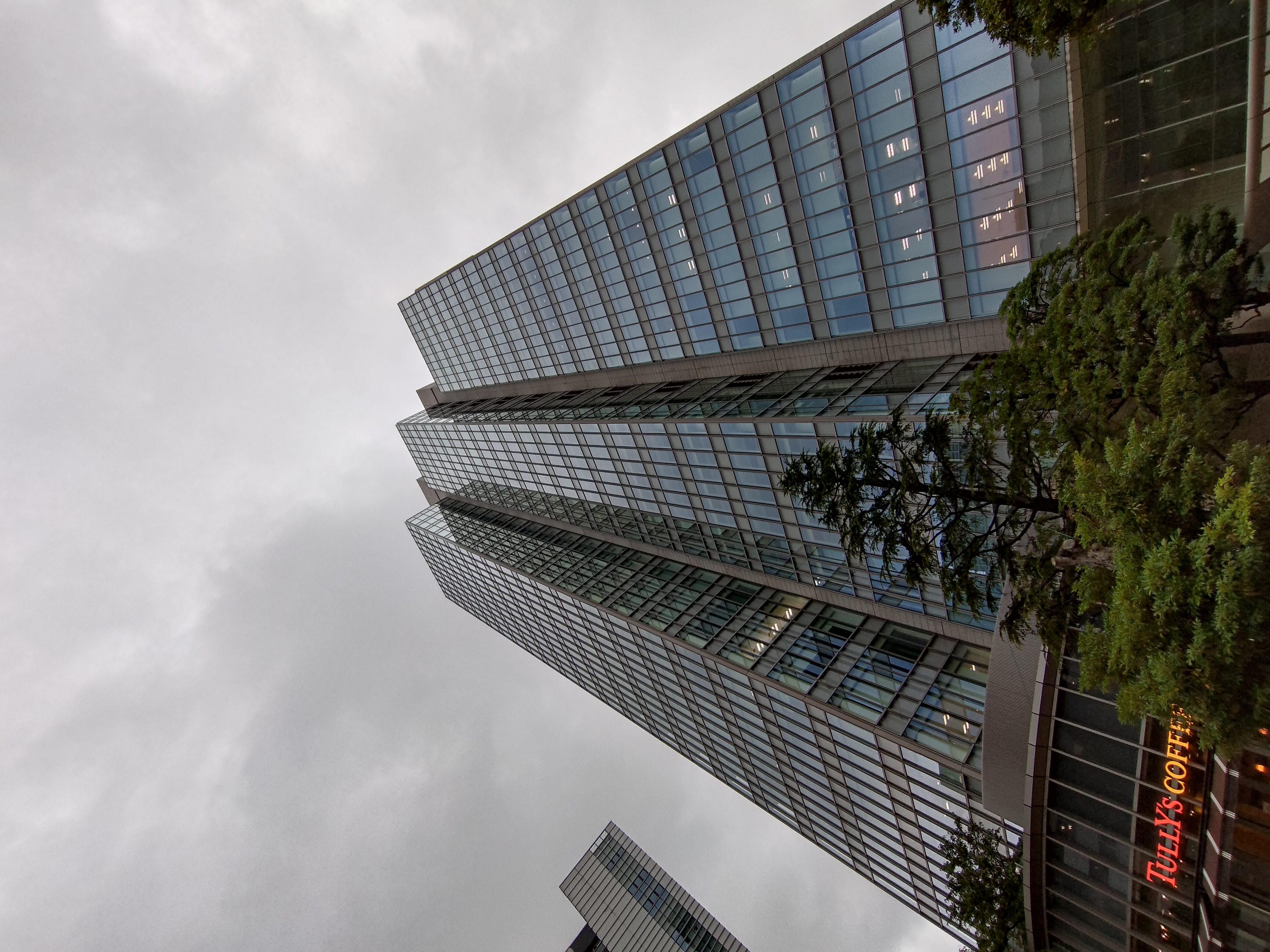 超広角カメラで撮影