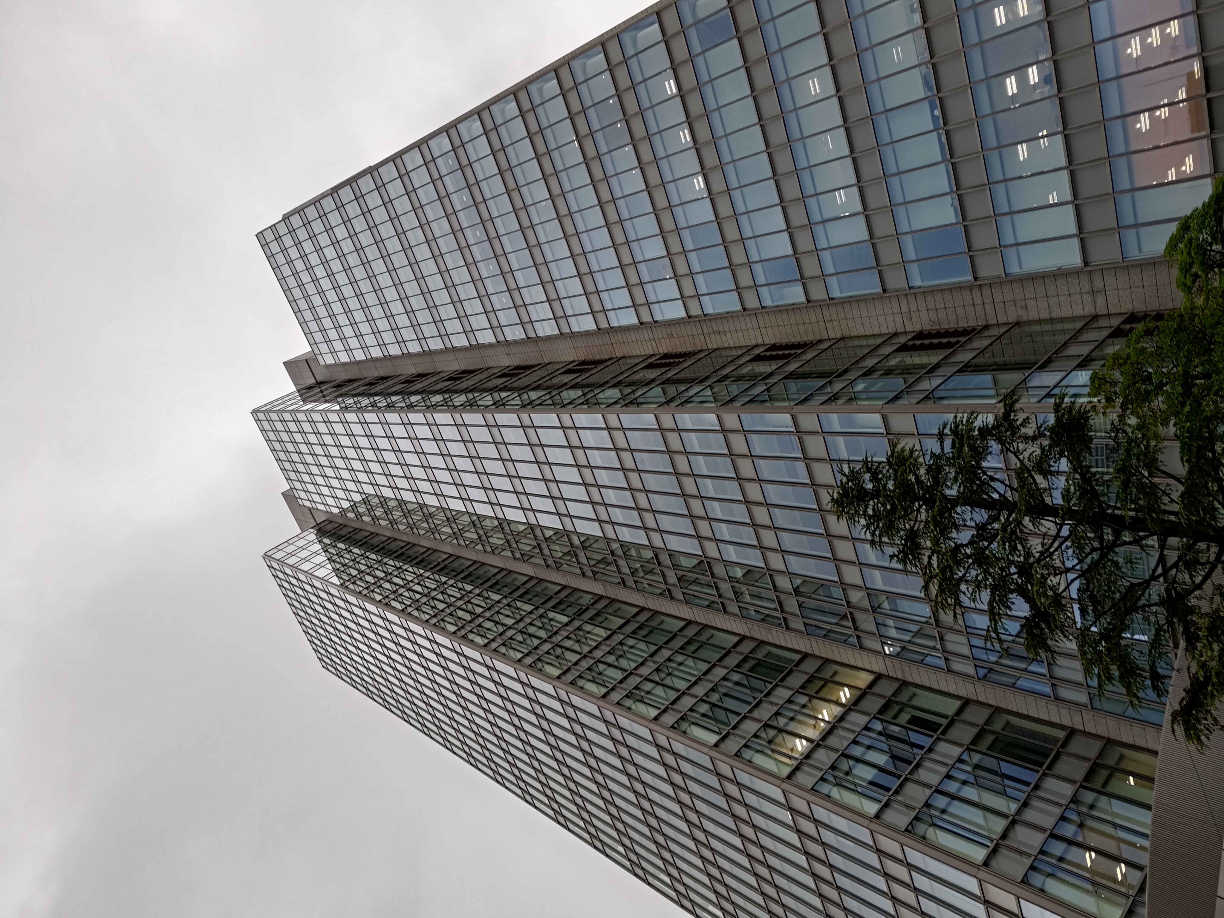 広角カメラで撮影