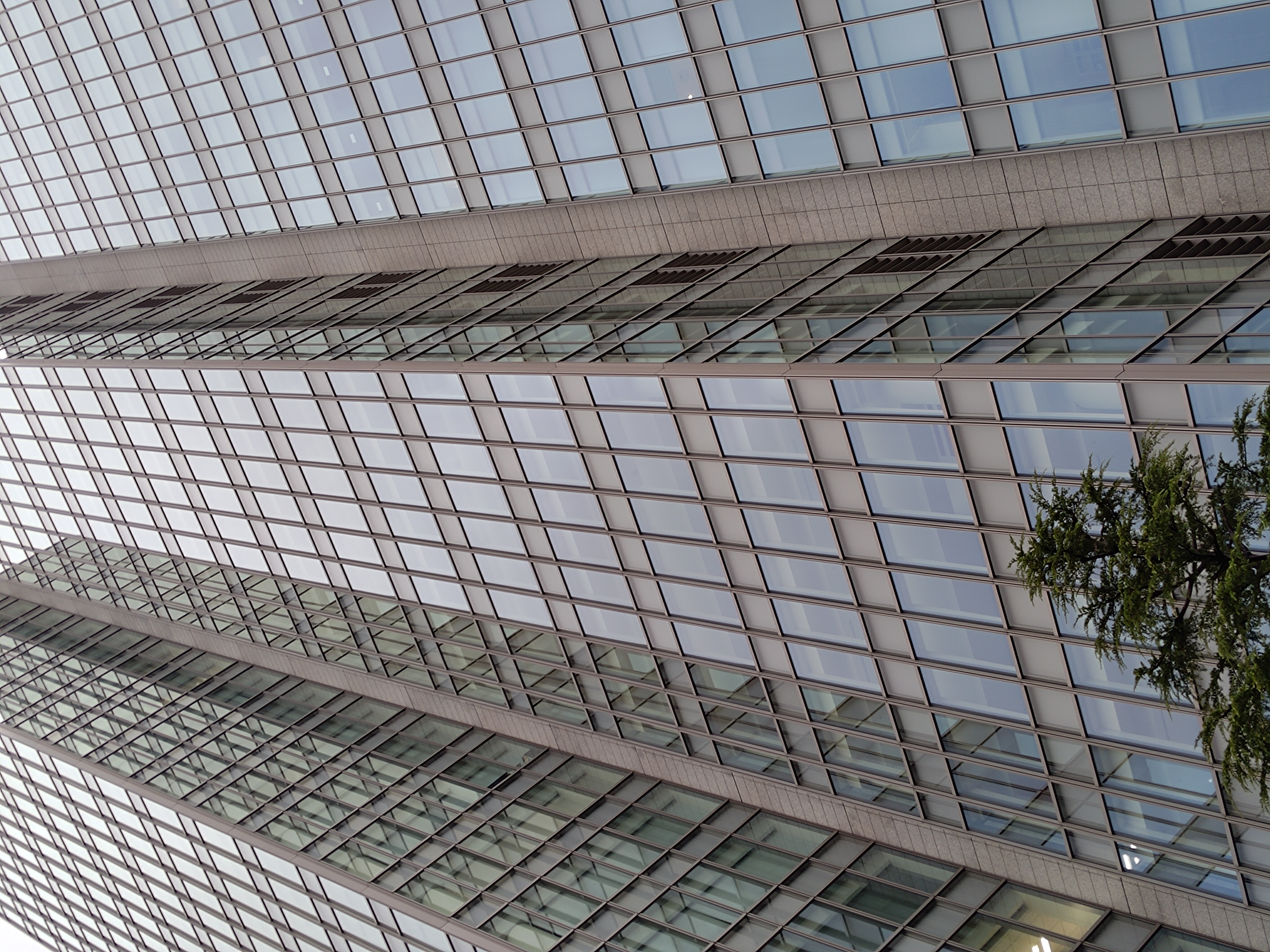 ズームしたもの