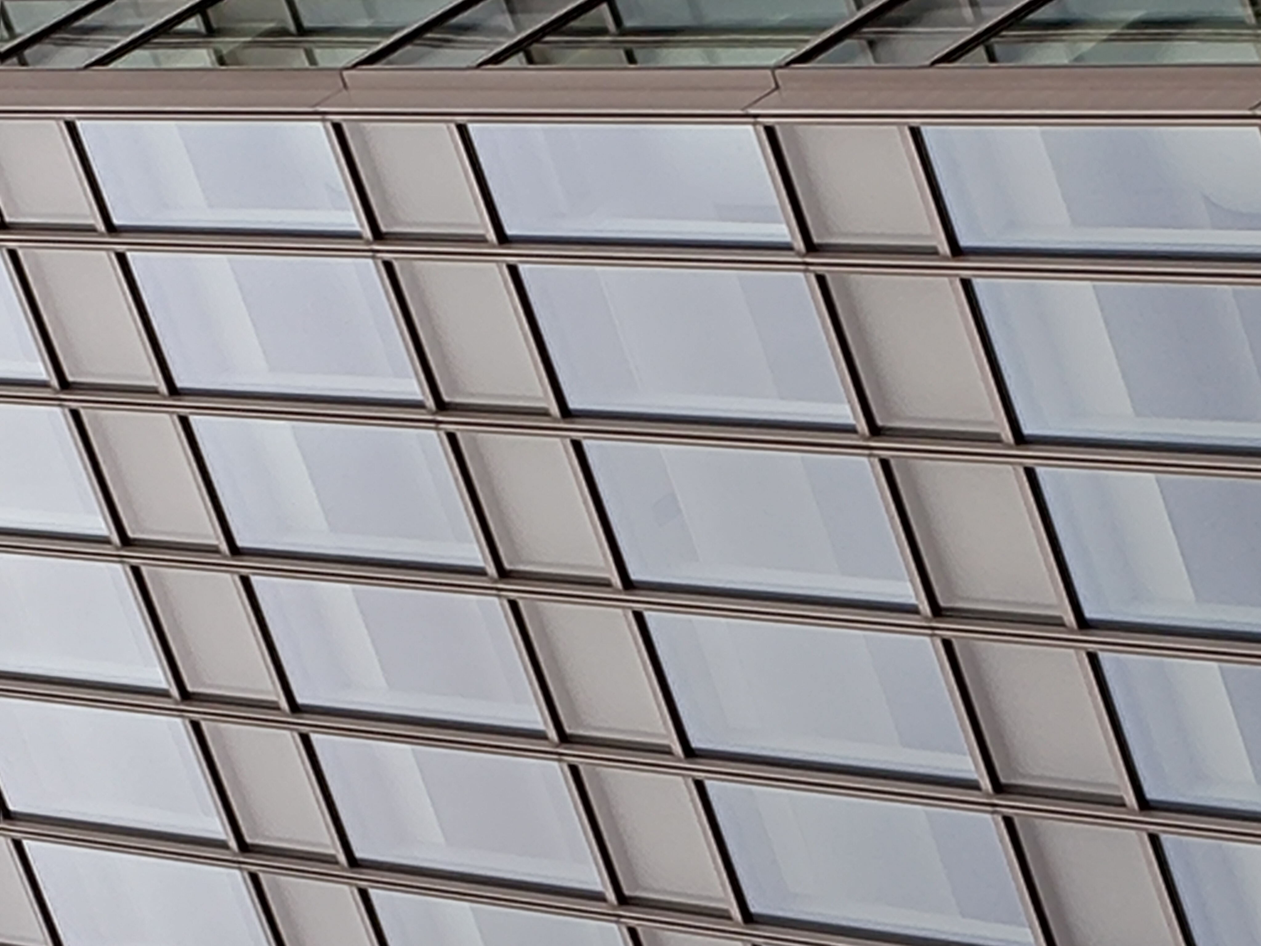 ズームしたもの