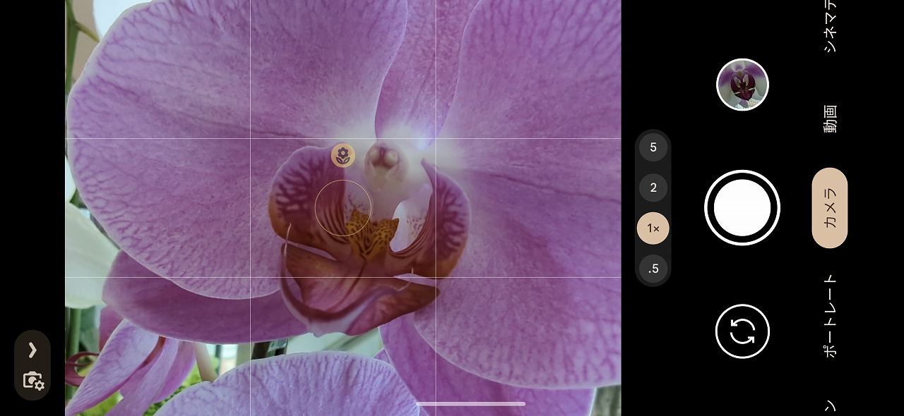 マクロ撮影は3～5cmまで寄って撮影が可能。被写体に寄ると、マクロアイコン（花の形）が表示され、マクロ撮影に切り替わる