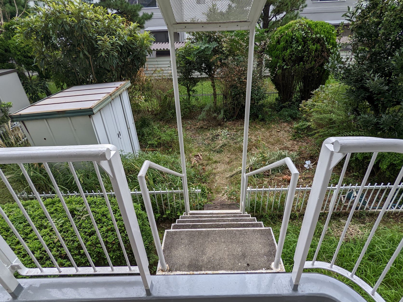 これが、新しい我が家の庭！