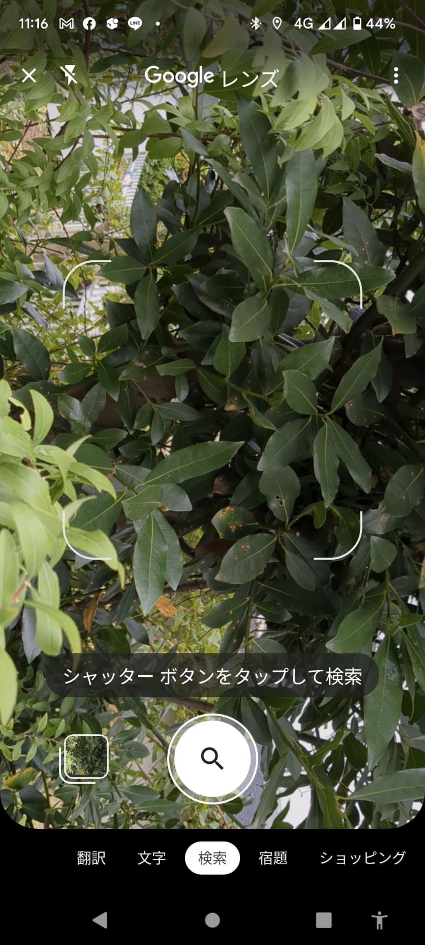 対象をカメラの真ん中に捉えて、検索ボタンをタップ