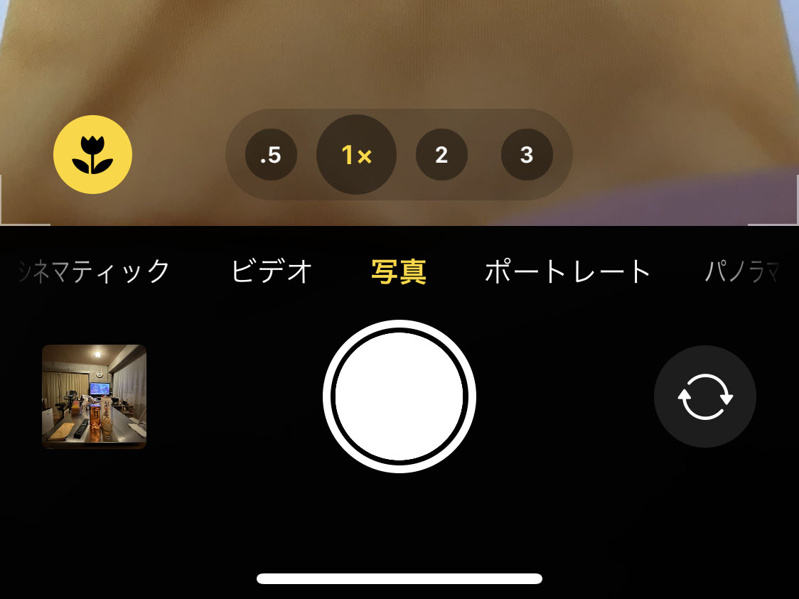 ワンタップで4つの画角を切り替えられる。花のマークはマクロモードを意味するが、タップしてマクロモードを解除することもできる。