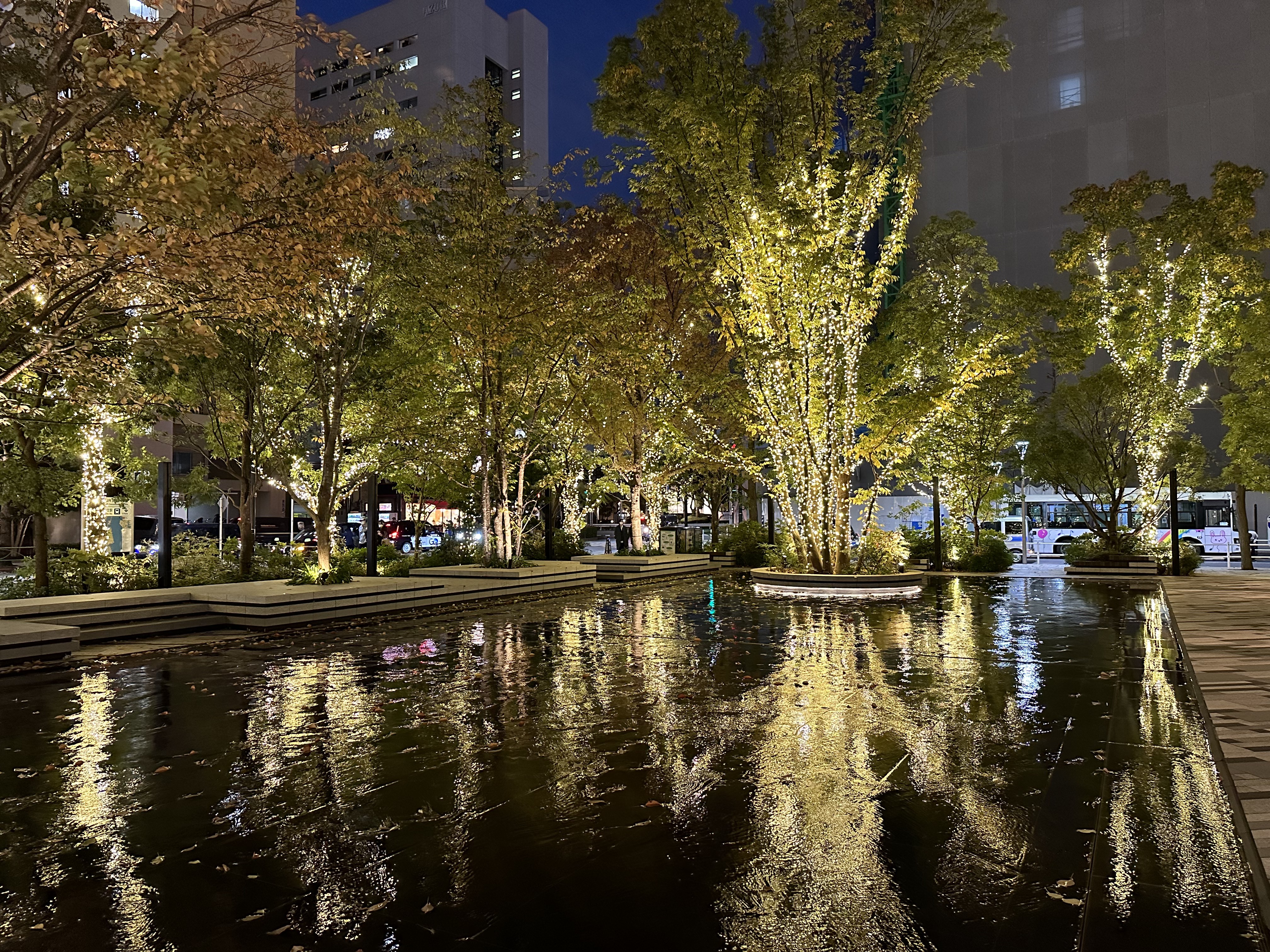 iPhone 14 Proは自動で撮ったところ1秒くらい時間がかかりました。こちらは食べ物の写真とは反対に、iPhoneが明るく光に溢れた感じで撮れました