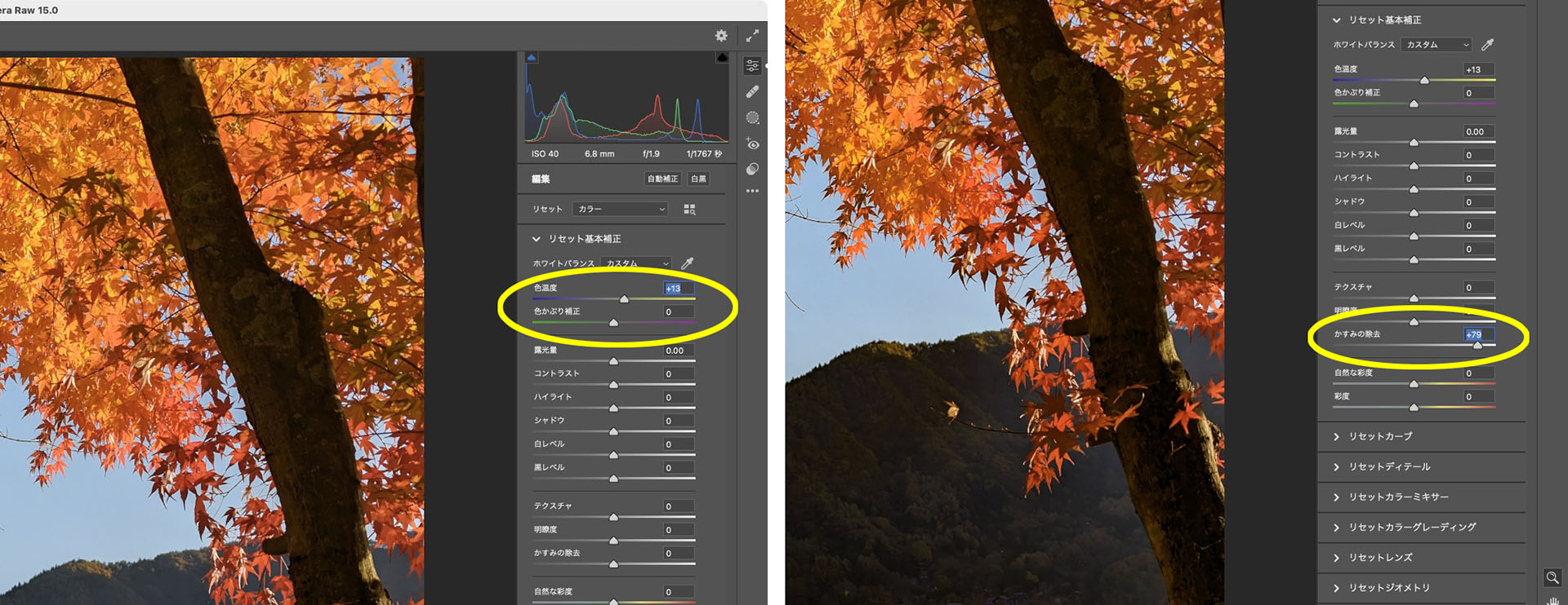 こちらはCameraRawで画像を調整している様子。マウスだと小さなスライダーが動かしにくく、細かな数値調整を行いにくかった。一方、マウス＋TourBox Eliteだと、スライダーにマウスオーバーしてTourBox Eliteのダイアルで微調整できるので、ものすごーくパラメーターを調整しやすくなった。