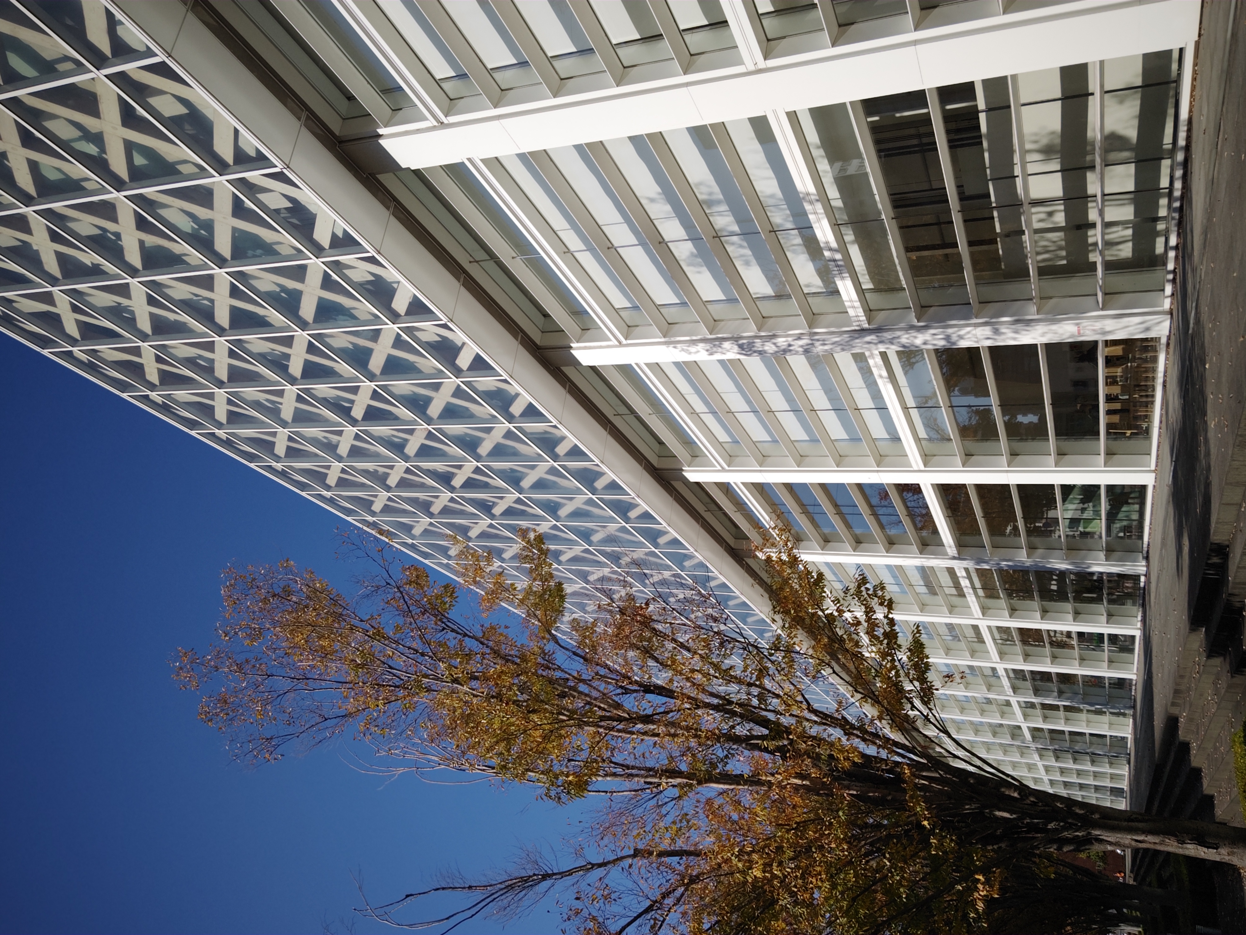 建築物の撮影にも向いている。「ORIGINAL」のカリッとした仕上がりがいい感じ。メリハリが効いている