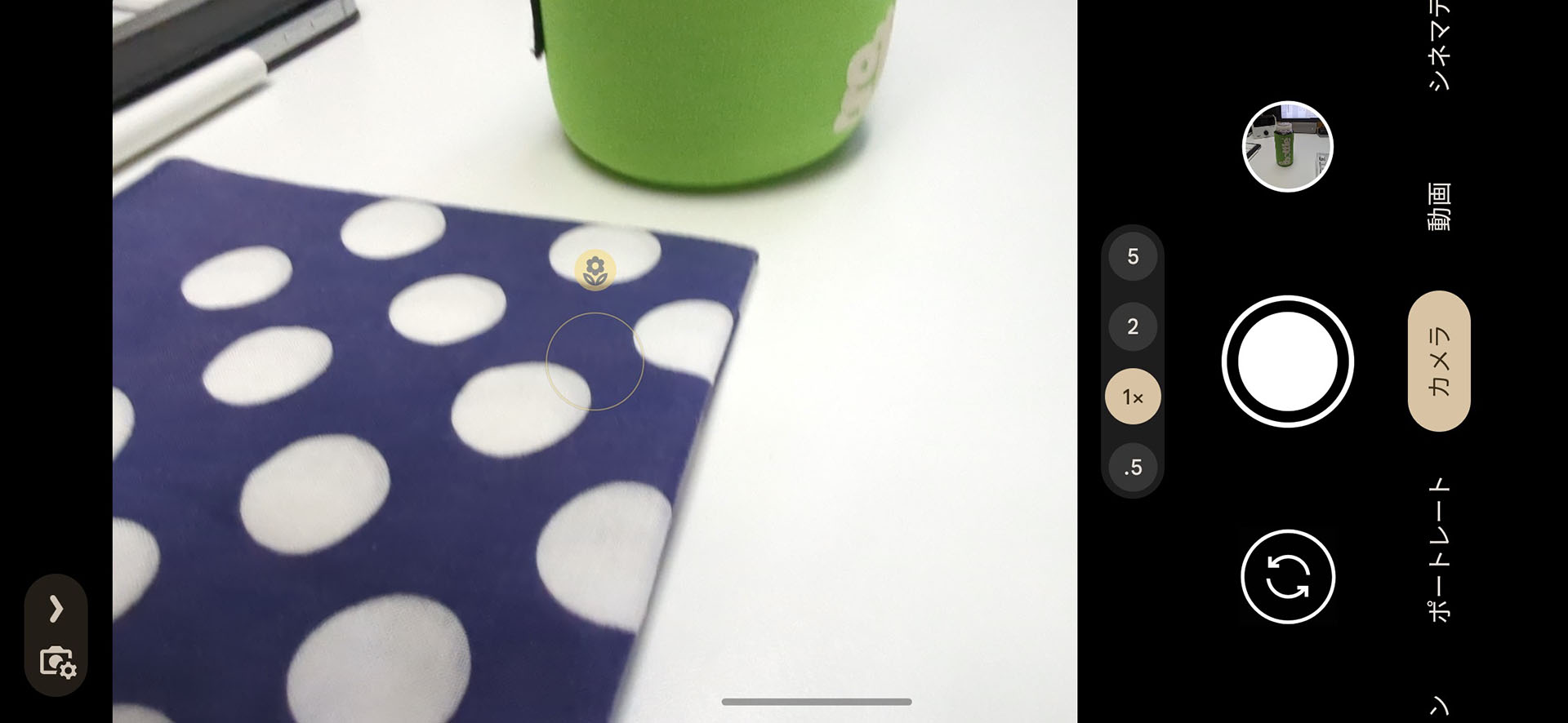 「Pixel 7 Pro」の標準カメラアプリの表示例（横位置）。「.5×（超広角レンズ使用/35mm換算12mm）」「1×（広角レンズ使用/35mm換算24mm）」「2×（広角レンズ使用/35mm換算48mm）」「5×（望遠レンズ使用/35mm換算120mm）」で撮影倍率を切り替えられるほか、スライダーで撮影倍率をシームレスに調節することもできる。※本記事の35mm換算値は概数