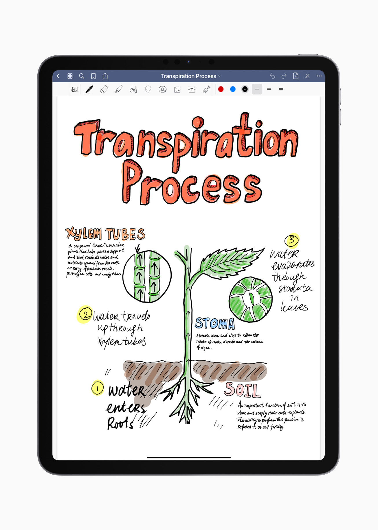 GoodNotes 5