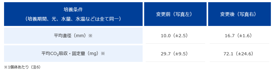 条件変更後の平均直径と二酸化炭素吸収・固定量
