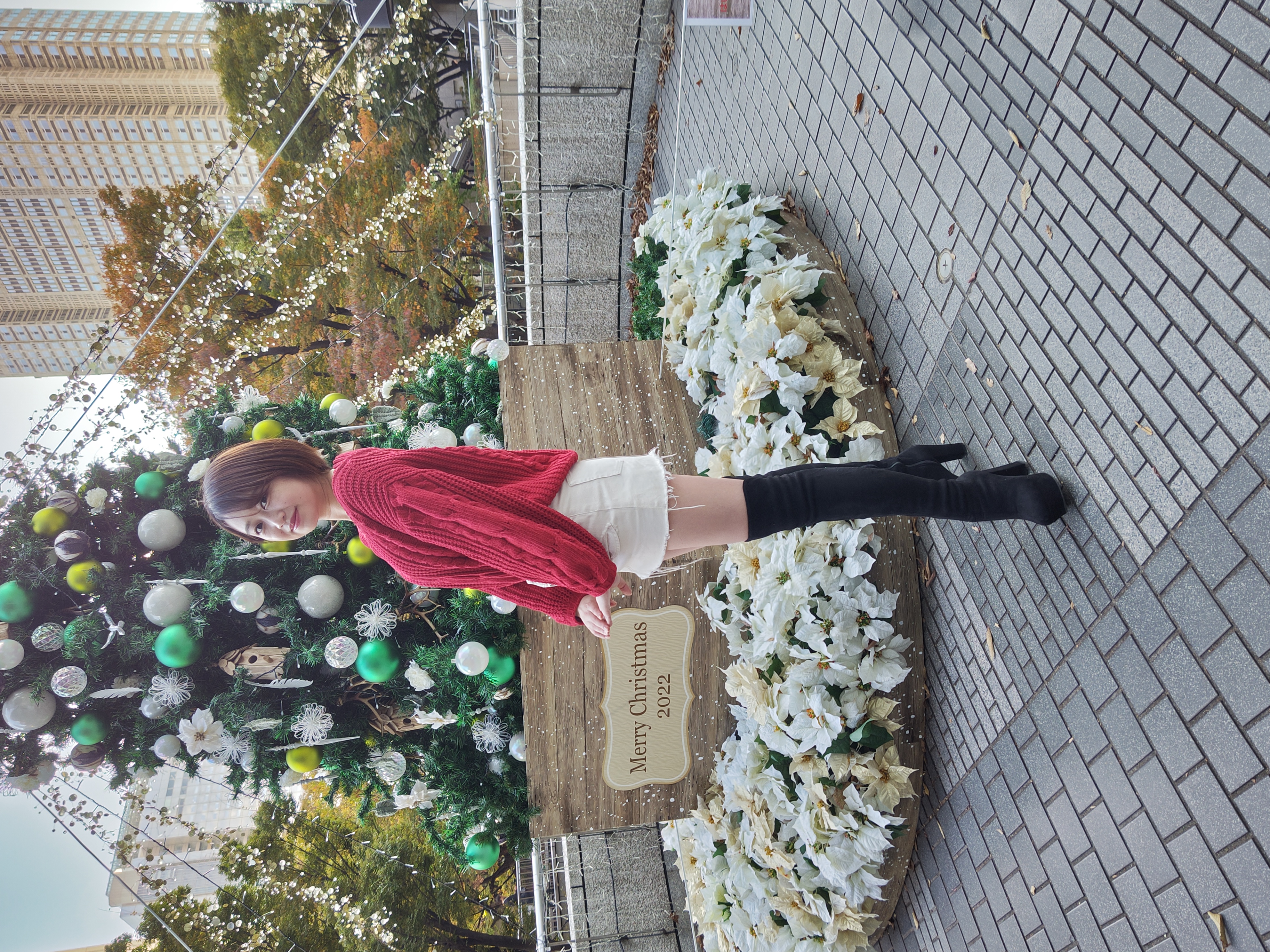 日陰だったがツリーの飾りや衣装の色合いも自然に再現できている