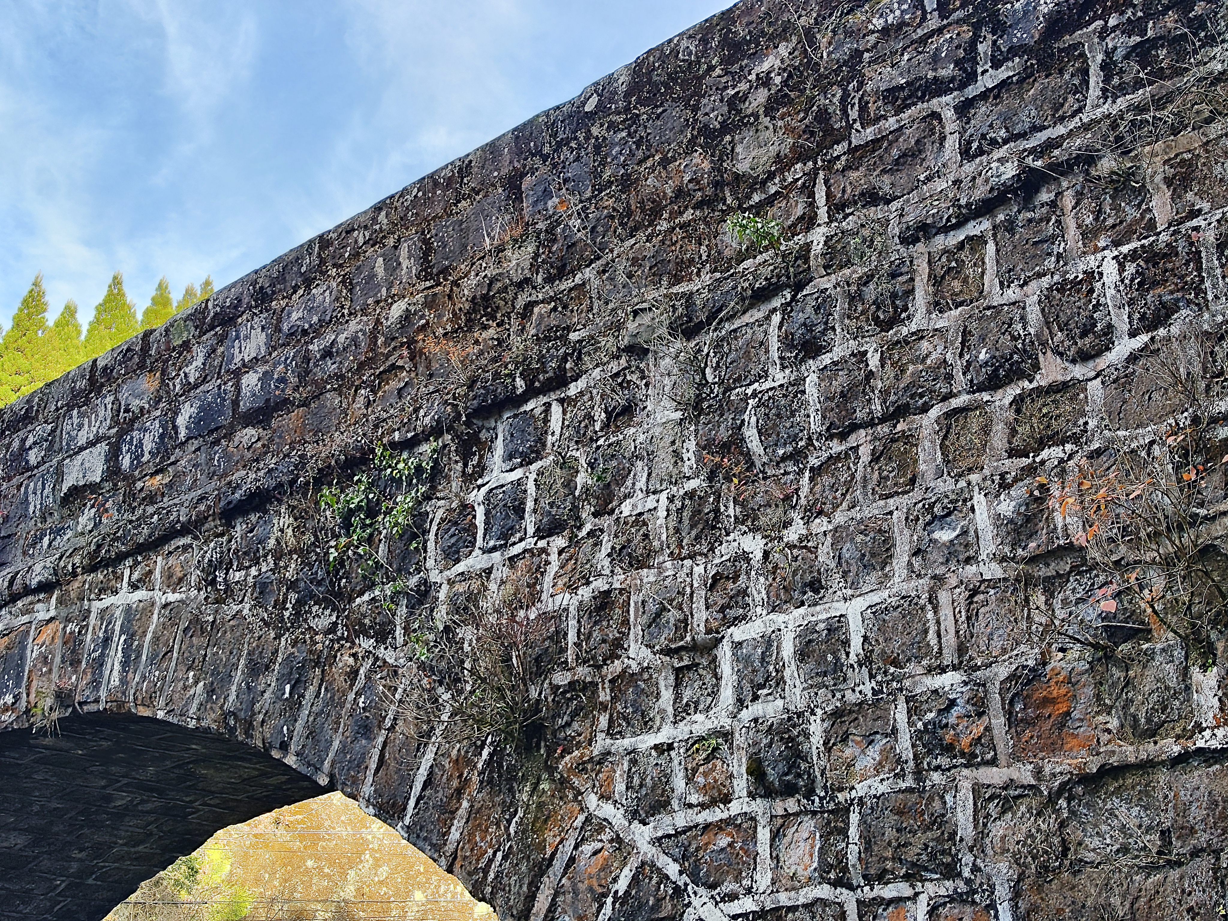 ロケ中に出会った橋を撮った。「AI」をオンにしたカットだが逆光時だったためかややHDRが強くかかった。通常はオンでいいと思うが仕上がりの好みによってオンオフしたい