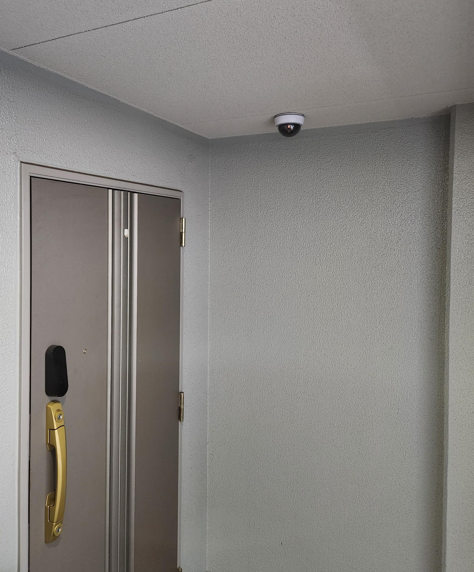 コンクリート天井に超強力両面テープで取り付けてみたがあえなく10分で落下