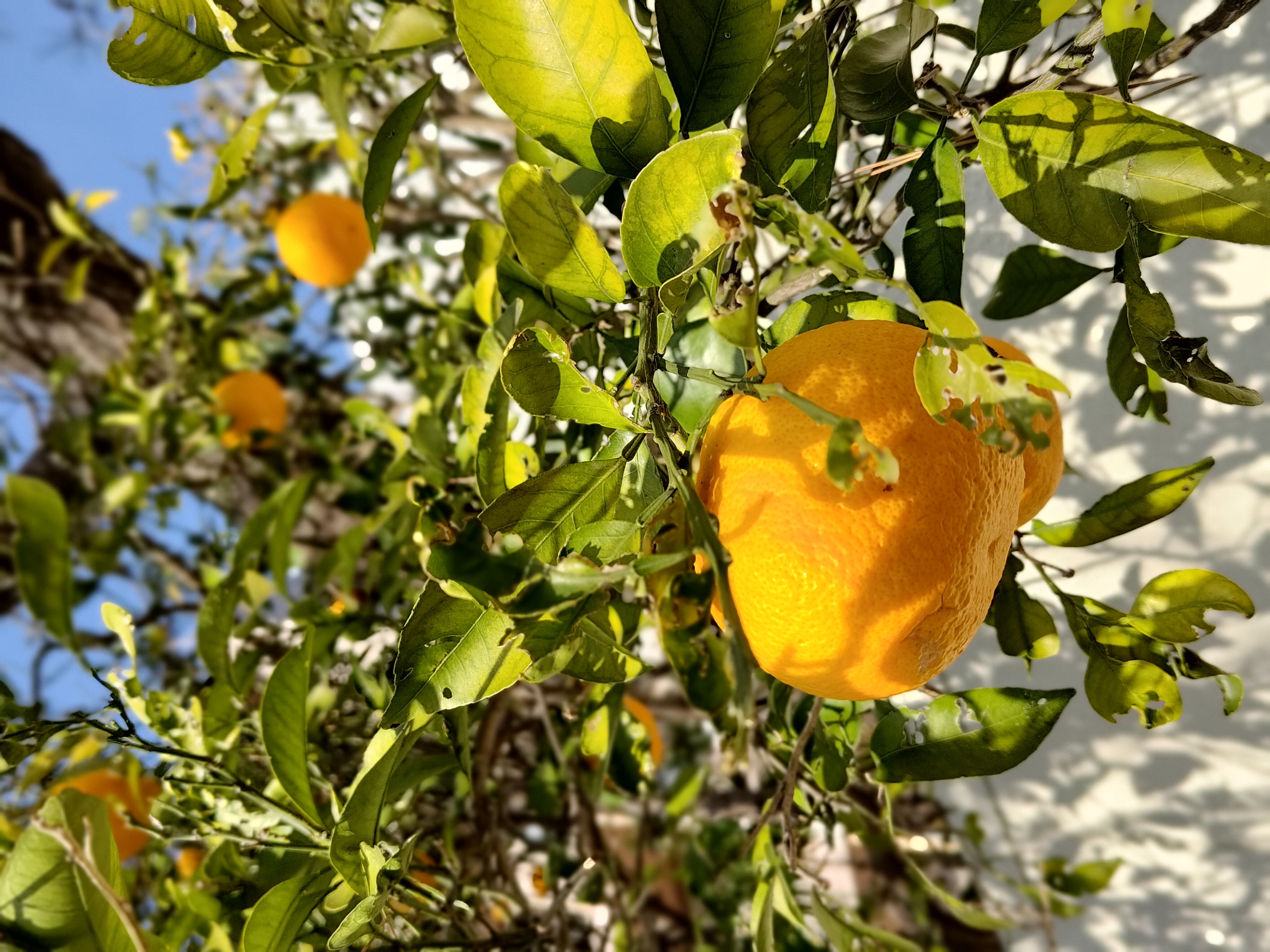 こちらはまずまずの境界判定か
