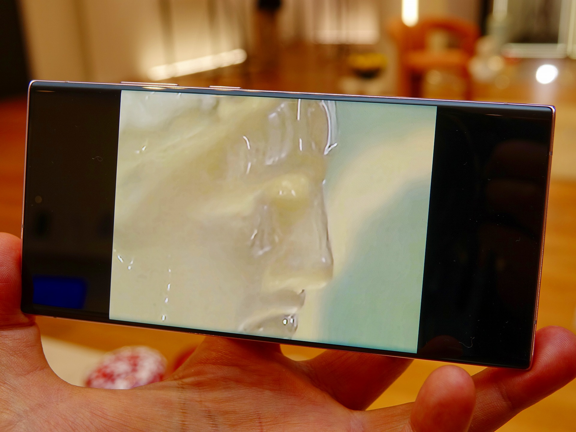 100倍で撮っても、意外とノイズが少なく、ディテールもクッキリしていた。AIによる処理が向上した可能性がある