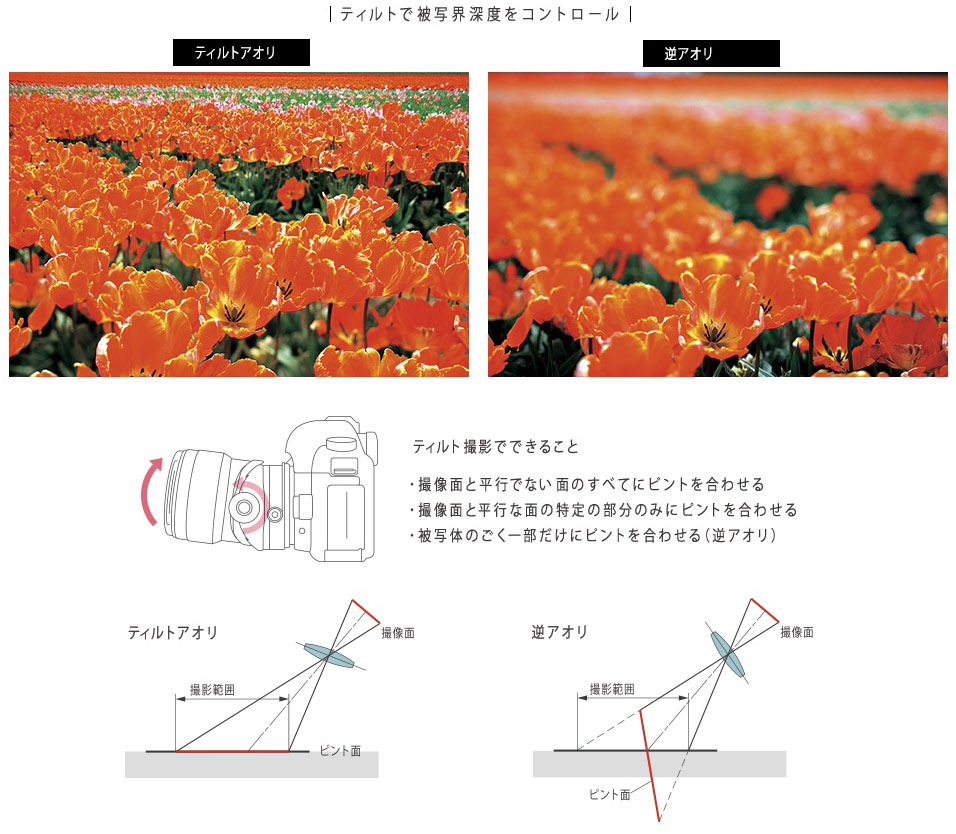 ティルト機構の動作イメージ。※キヤノン「TS-Eレンズスペシャルサイト」より抜粋。