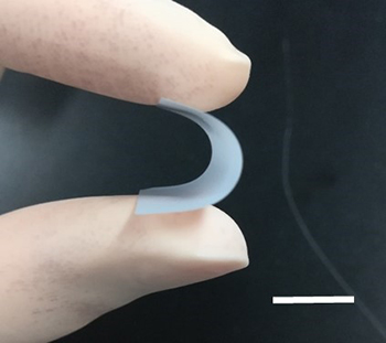 厚み6µmの固体電解質膜（スケールバーは1cm）