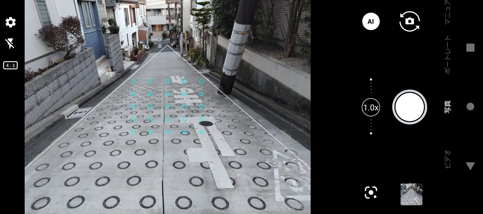 先のスクリーンショットのなかには表示されていないのですが、「三角形 1」のガイド線を使ったときの撮影画面。ガイド線にぴったり合うような構図探しも楽しいです