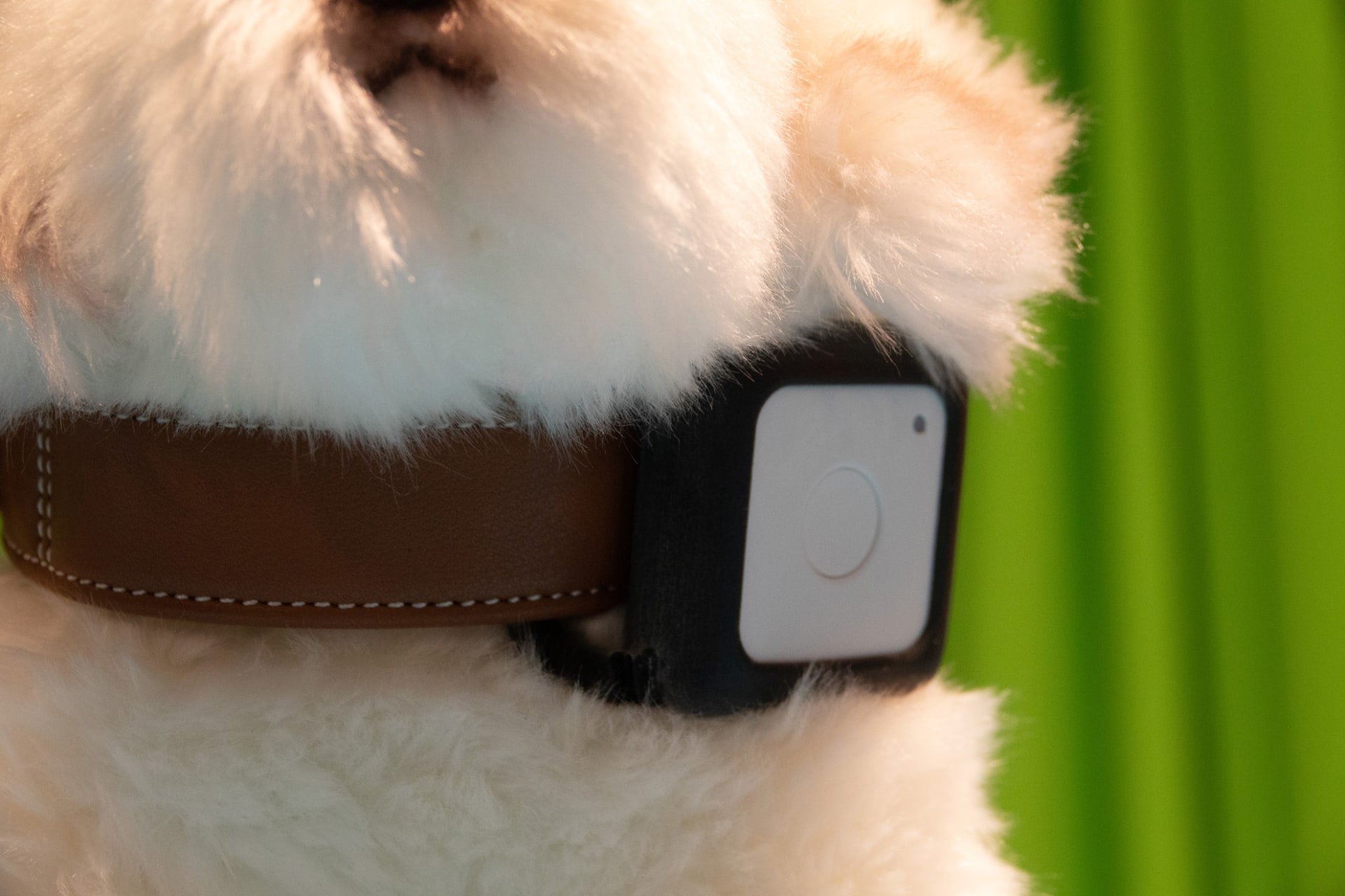 ペット向け、首輪に装着できるアタッチメント型ケースも展開