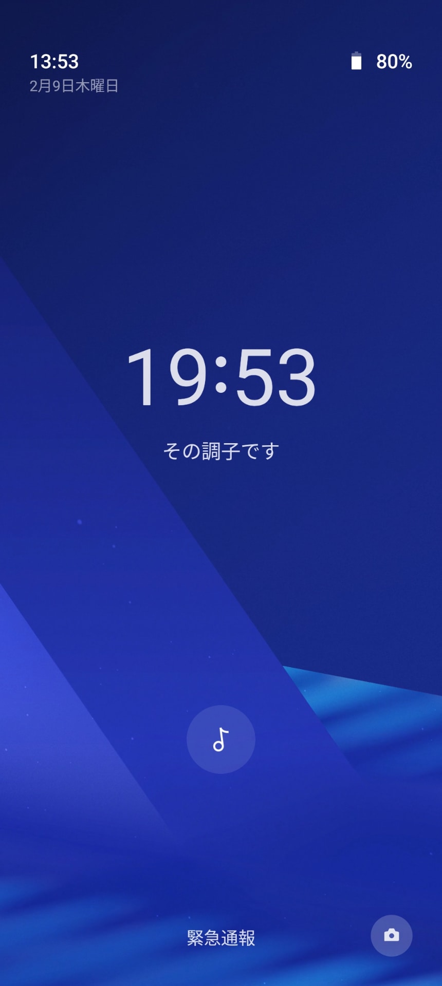 開始すると、このような画面になり、カメラと緊急通報しか使えなくなる