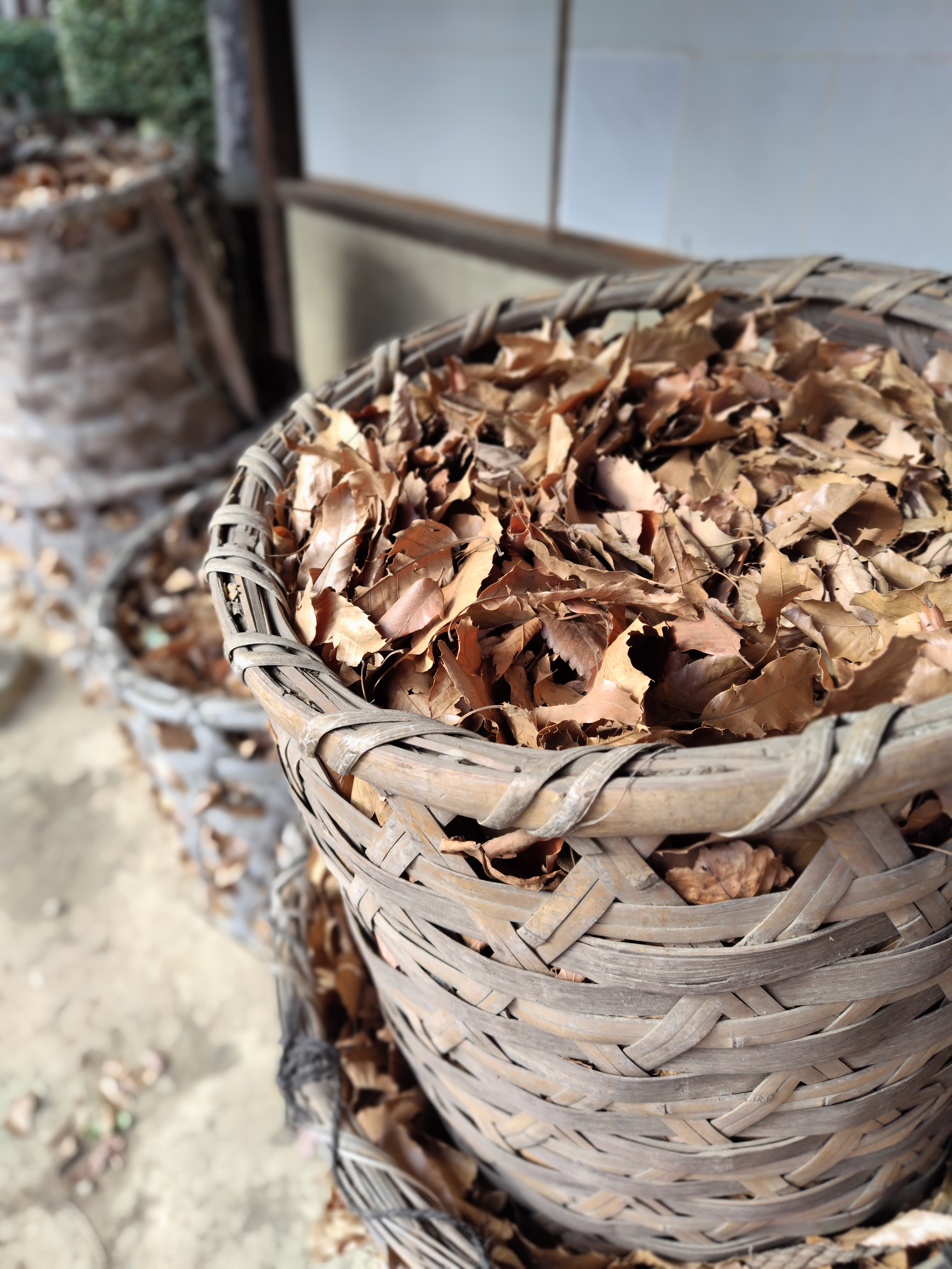 民家園でのカット。竹製の籠に枯れ葉がたくさん詰められていた。その様子をポートレートモードで撮ったが境界判定もボケもイイ感じに撮れた。しかしポートレートモードでは後処理に時間がかかるのが難点だ。モデル撮影では間が持たないくらい待たされる。撮影のテンポが崩れること必至だ。ここは処理速度の向上を求めたい