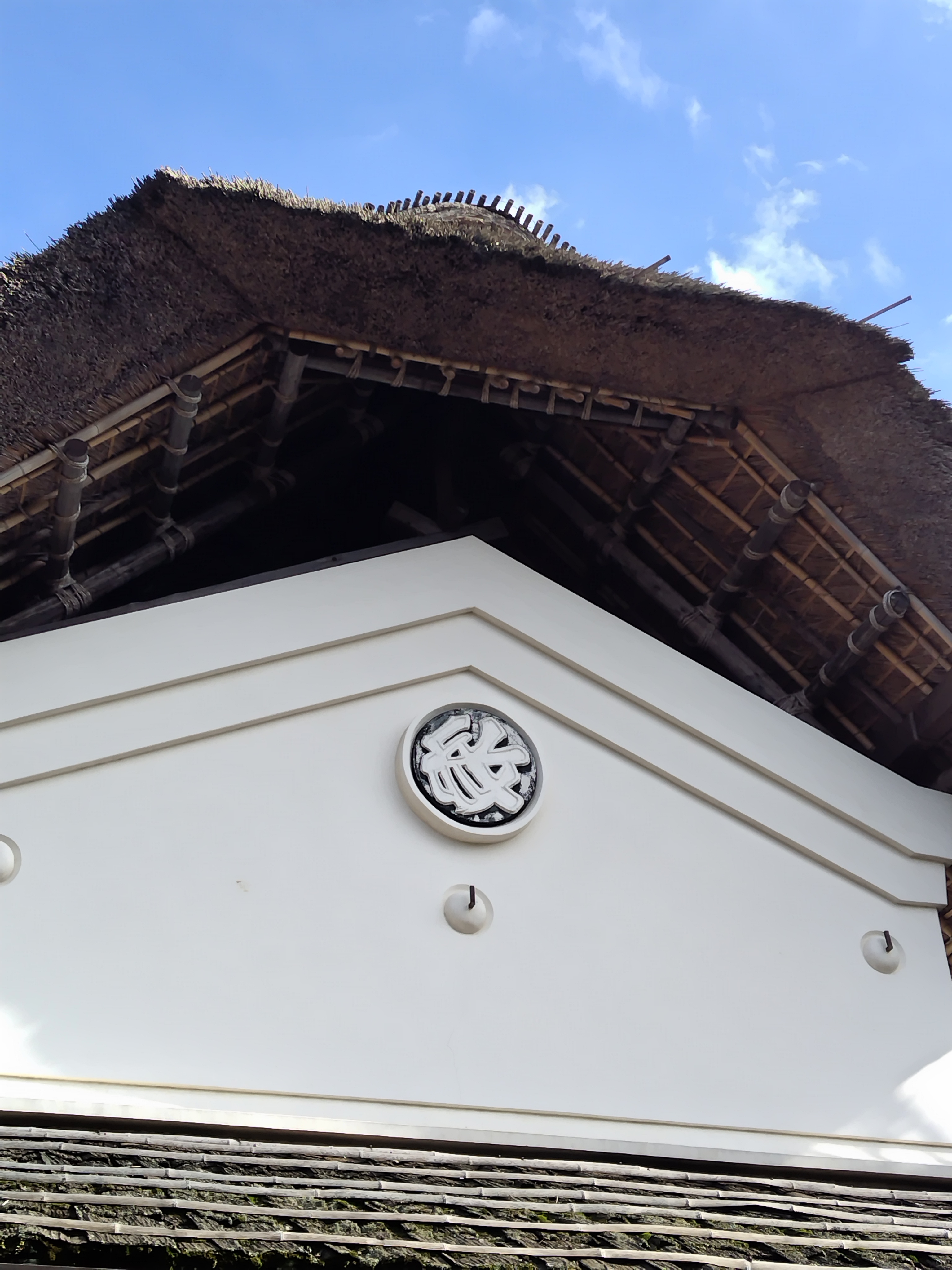 メインカメラ2倍