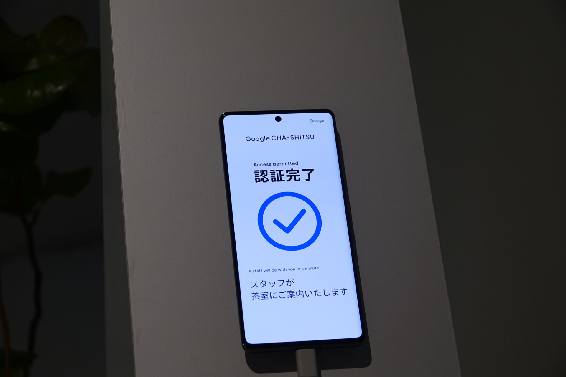 茶室にもセキュリティ