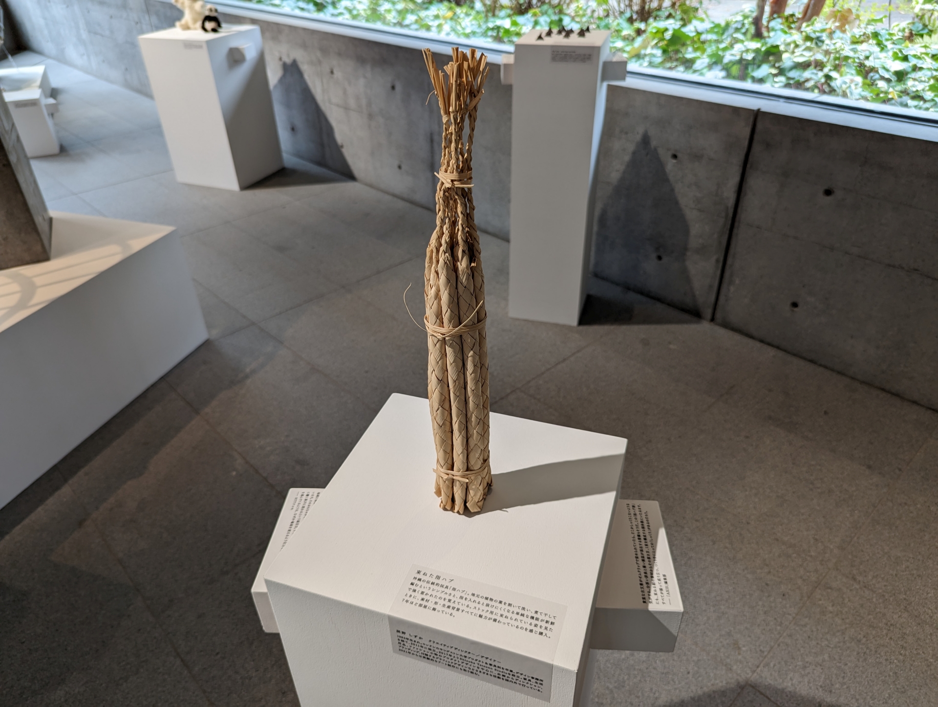 指ハブ（クリエイティブディレクター・デザイナー 辰野しずか氏）