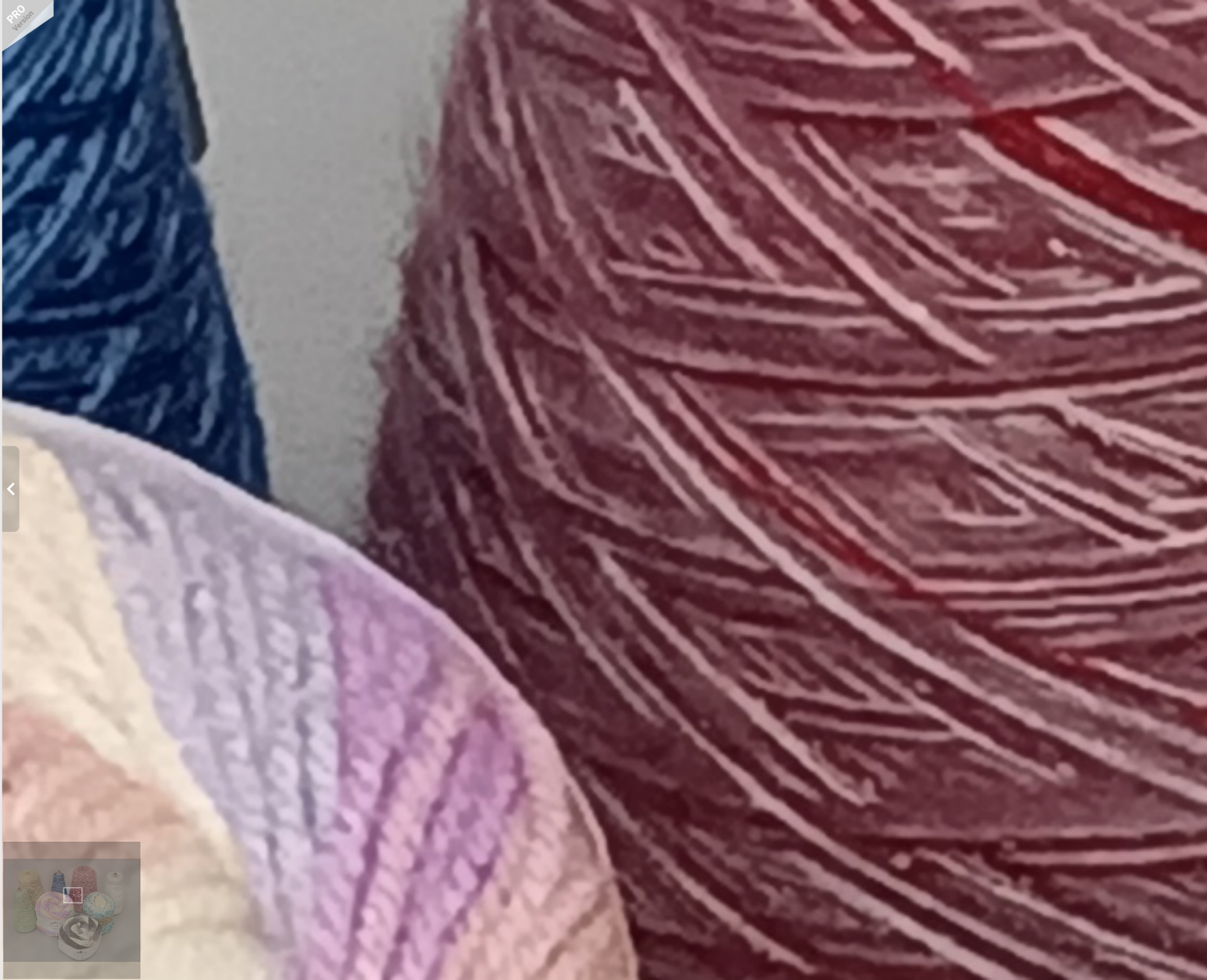 Libero 5G IIIで撮影したものを2倍表示したもの。のっぺりとしてしまった