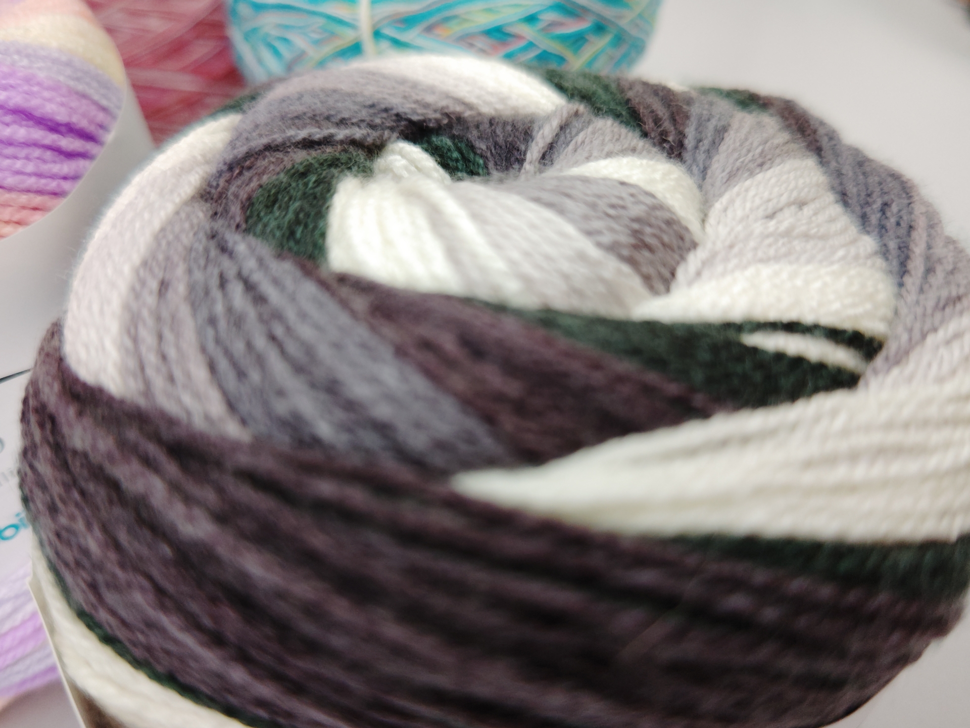 AQUOS R7使用。1倍でギリギリまで寄ってみたが奥にピントが合ってしまった