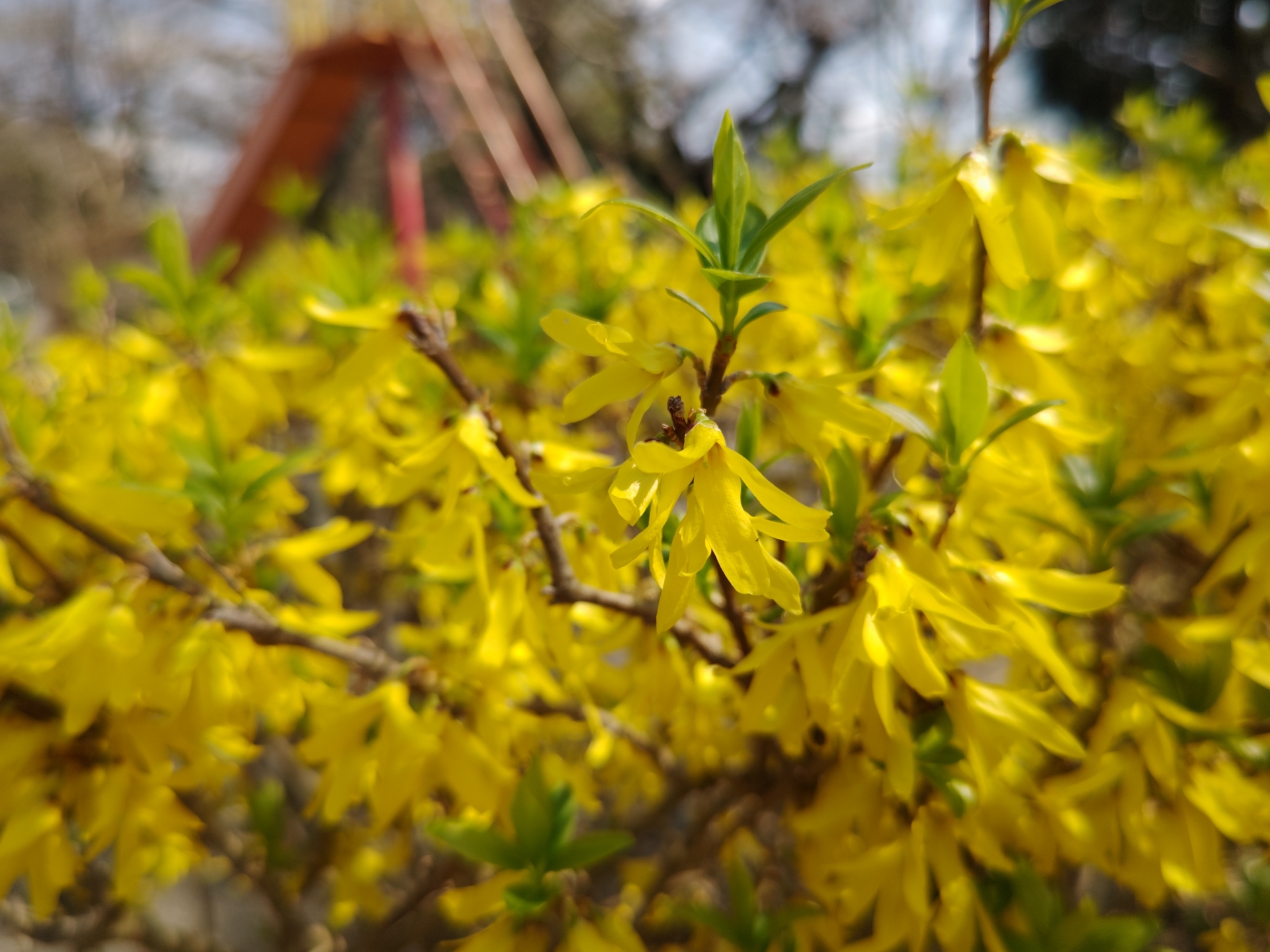 AQUOS R7使用。F値f 1.94で露出時間は640分の1秒