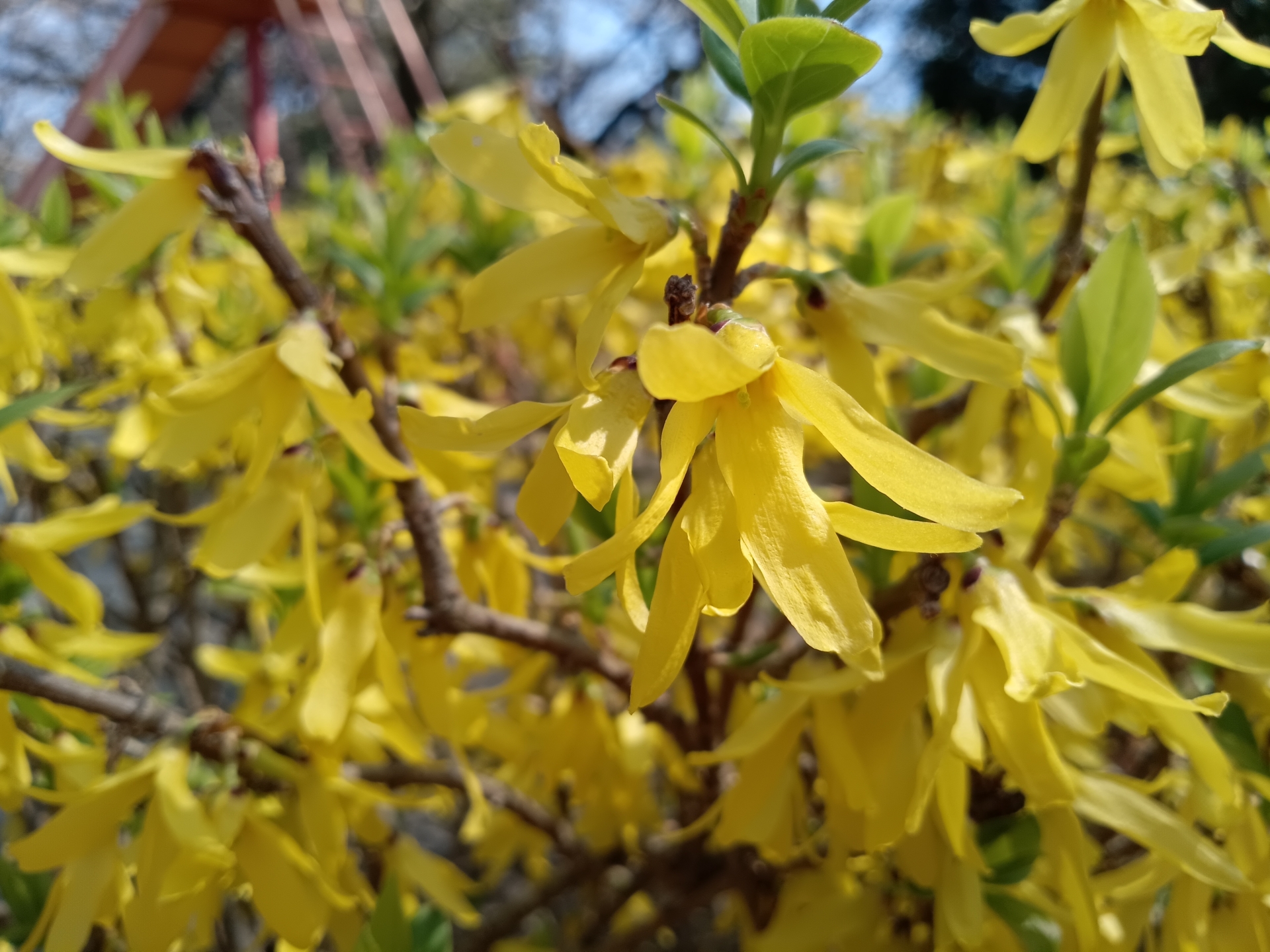 Libero 5G III使用。F値f 2.2、露出時間は665分の1秒