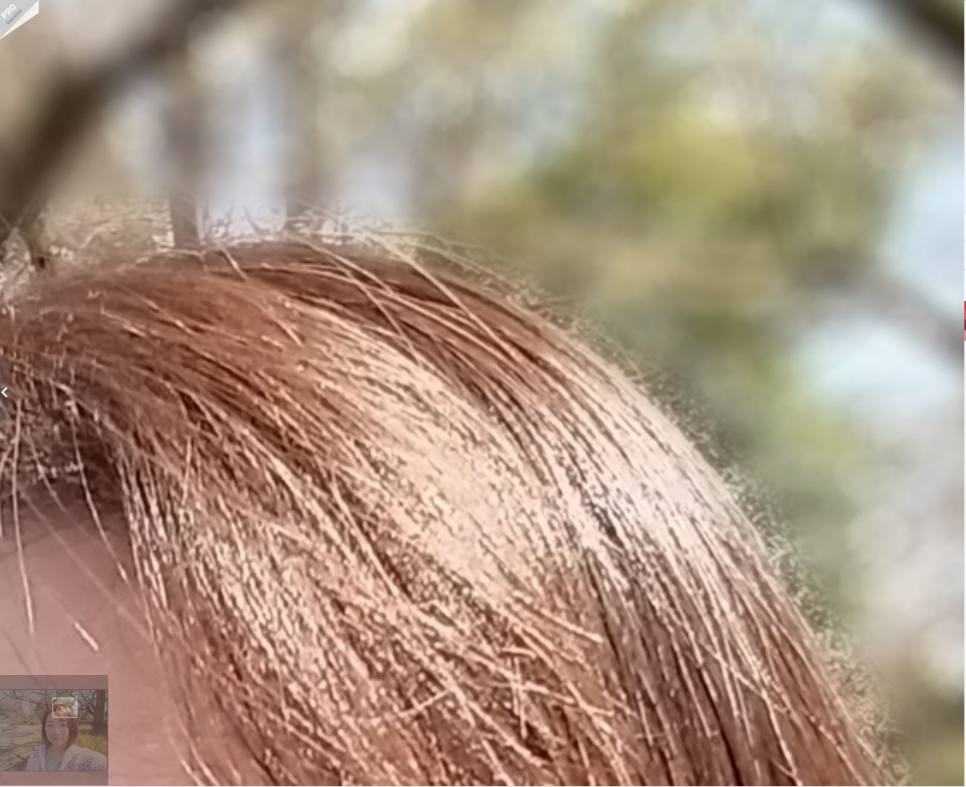 処理が追いついていないような印象の細部。ボサボサの髪の毛の向こう側だけ、背景がくっきりしている