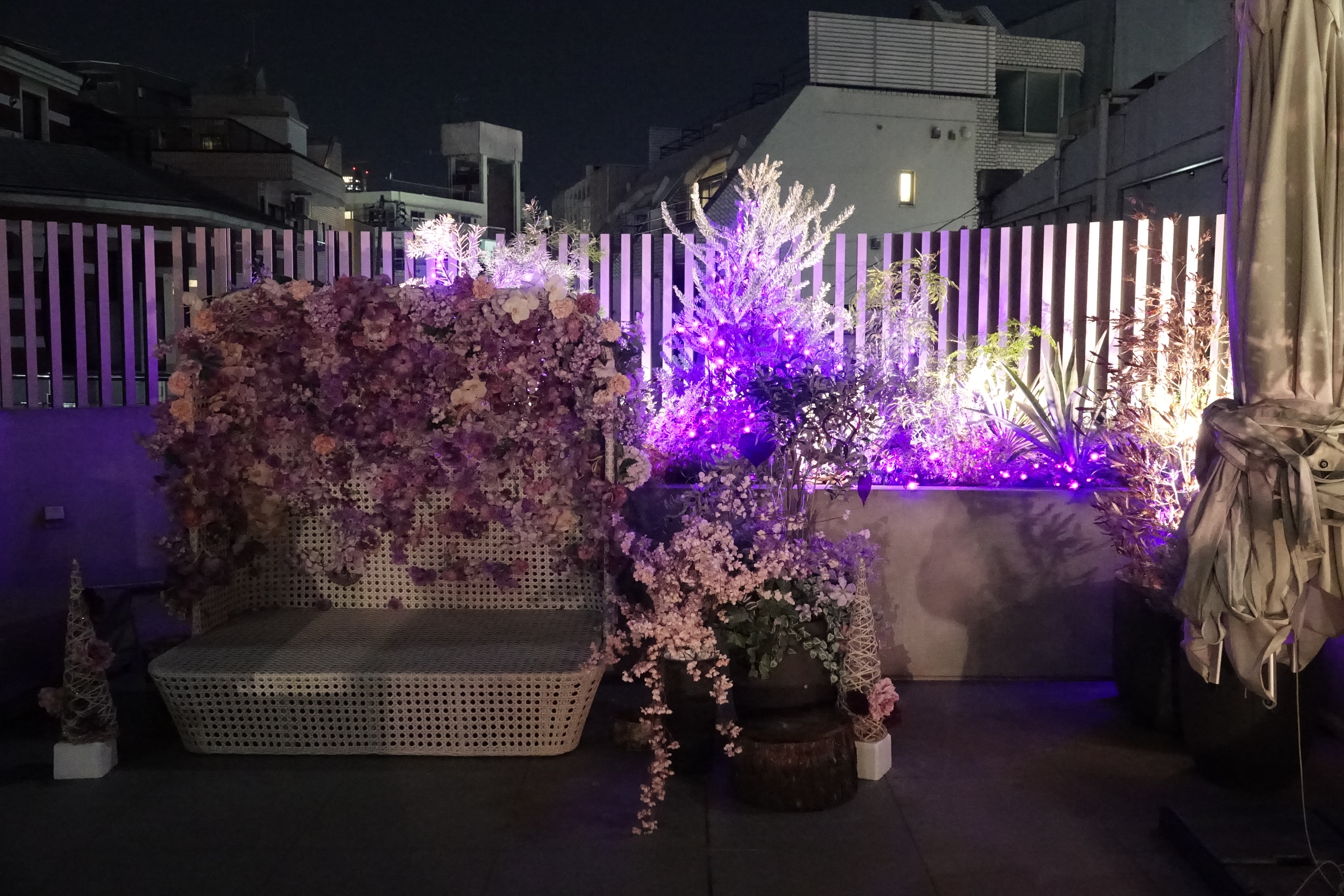 上の写真と同じ場所で、別のデジタルカメラを用いて撮影した