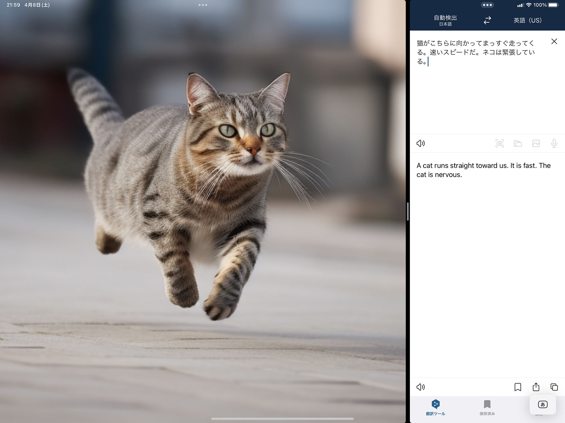 ピンチアウトしての画像拡大も実用的。