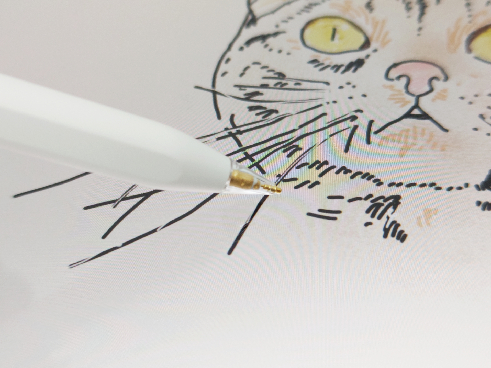 期待していたような「透け」はなかったが、カッコいいのでテンションが上がる