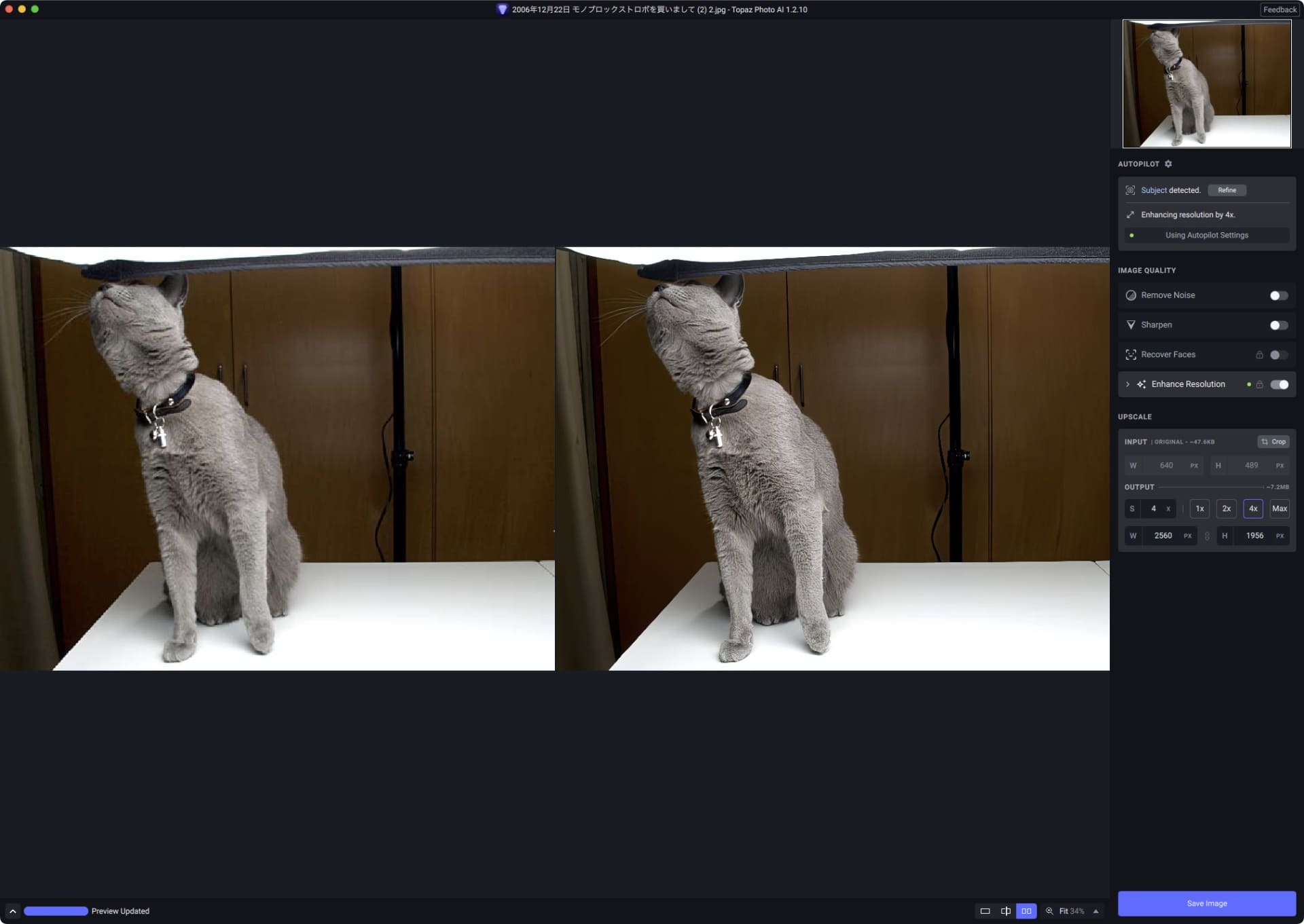 元画像は640×489ピクセルの猫の写真。