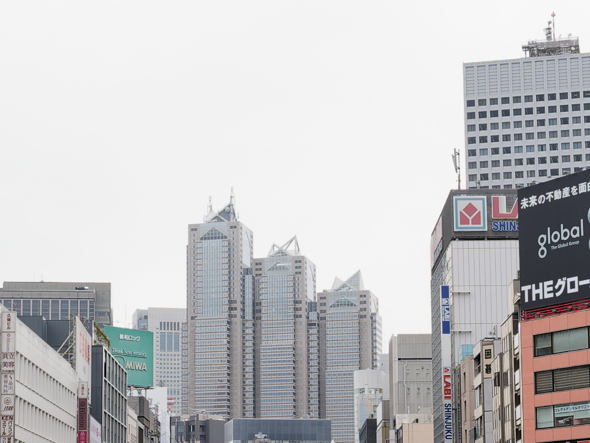 α7 III（SEL2070G）で撮影した写真の等倍イメージ