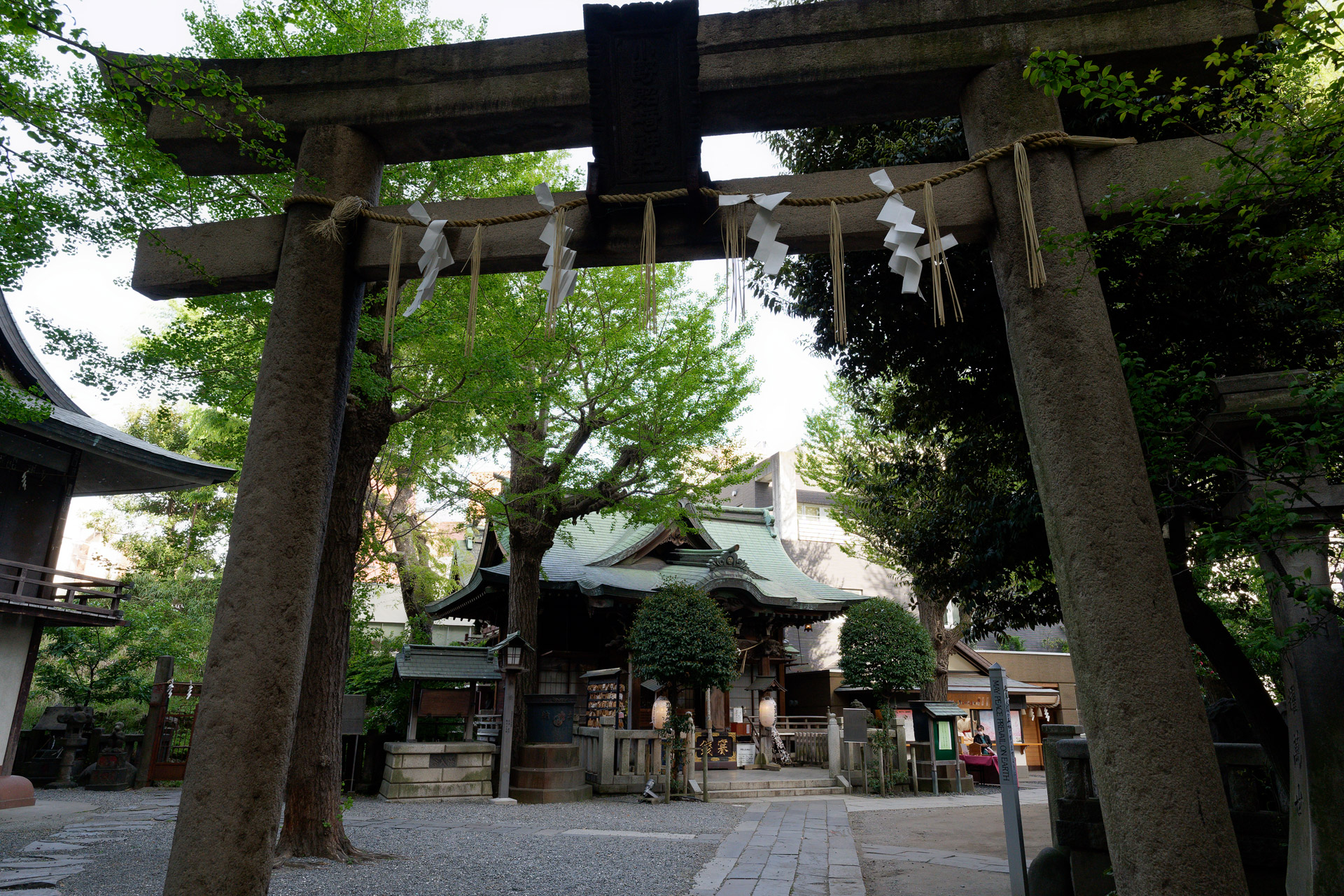 作例2：α7 III（SEL2070G）