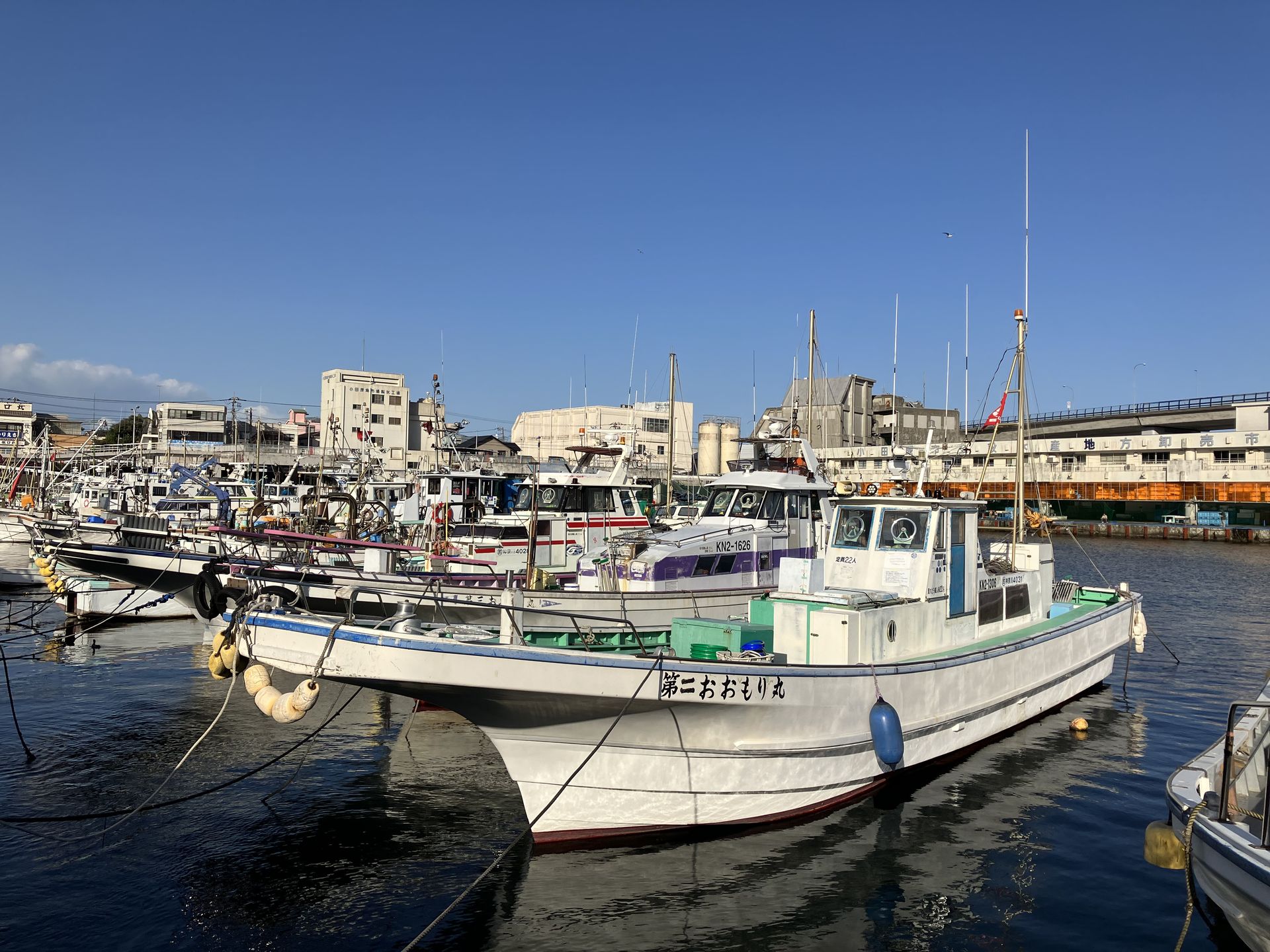 同じ漁港でのカット。西日の色再現が自然でいい感じ。近景から遠景までリーズナブルモデルのスマートフォンとは思えない描写である