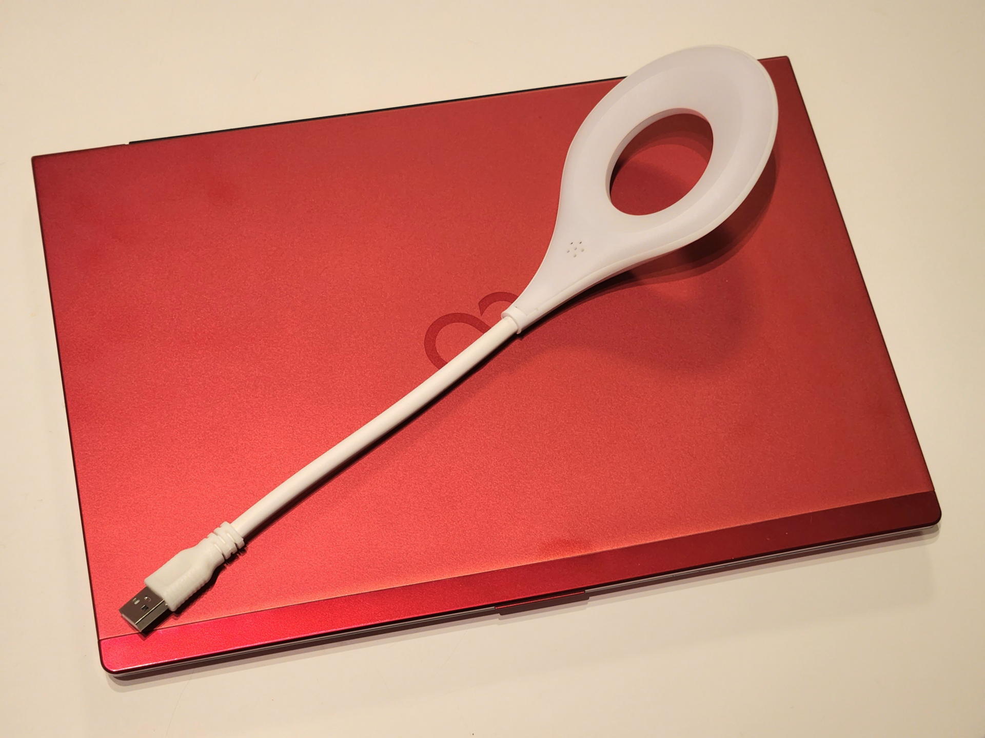 長さは約30cm少々、50gと超軽いので何処にでも持って行けるし収納も楽だ