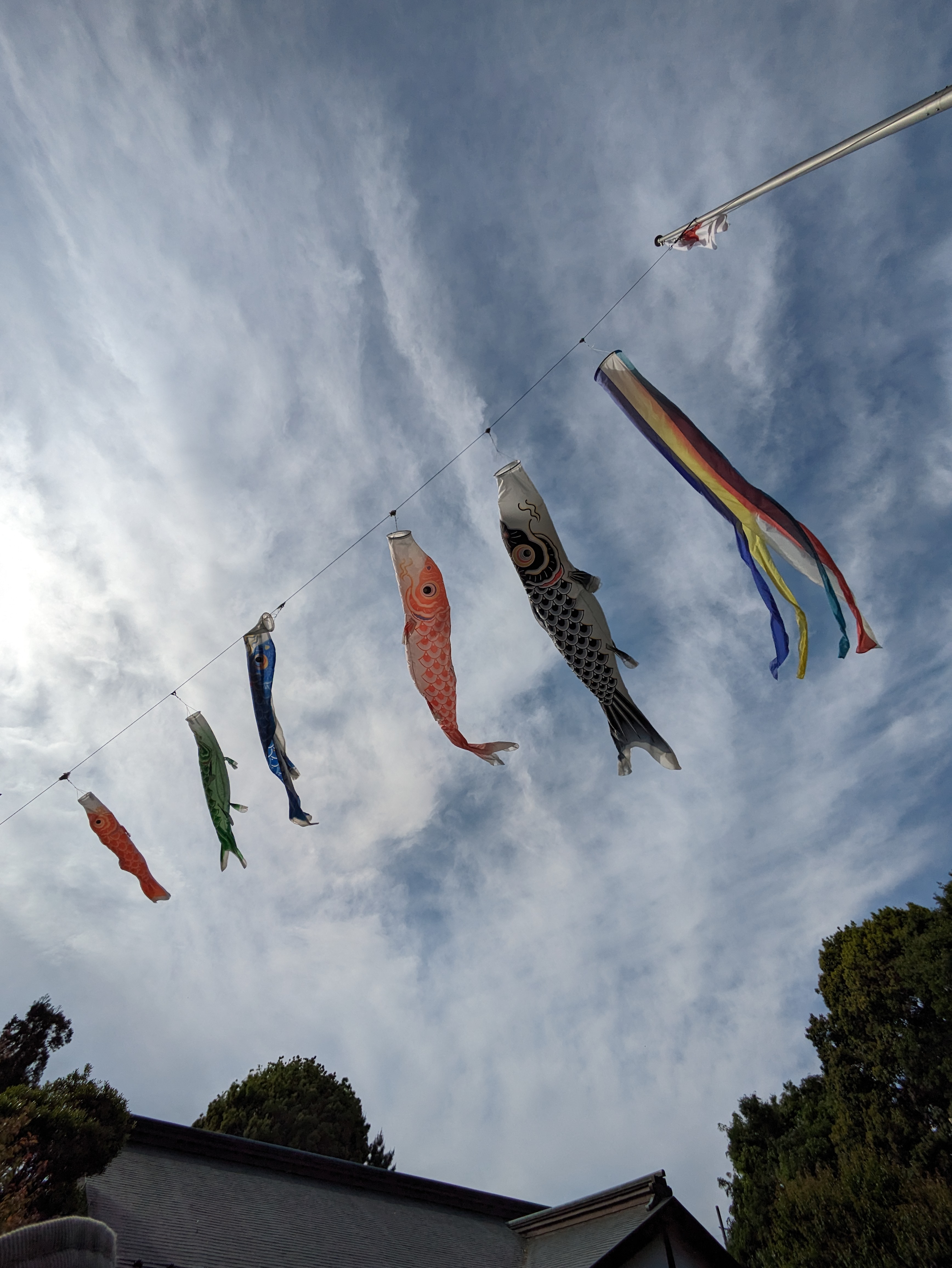 天高く踊る鯉のぼり。太陽をフレームギリギリに配置して「Pixel 7a」のシャッターを切ったがクリアな絵となった。雲のディテールや鯉のぼりの色合いがいい感じだ。ウルトラワイドカメラも確実に進化している印象である