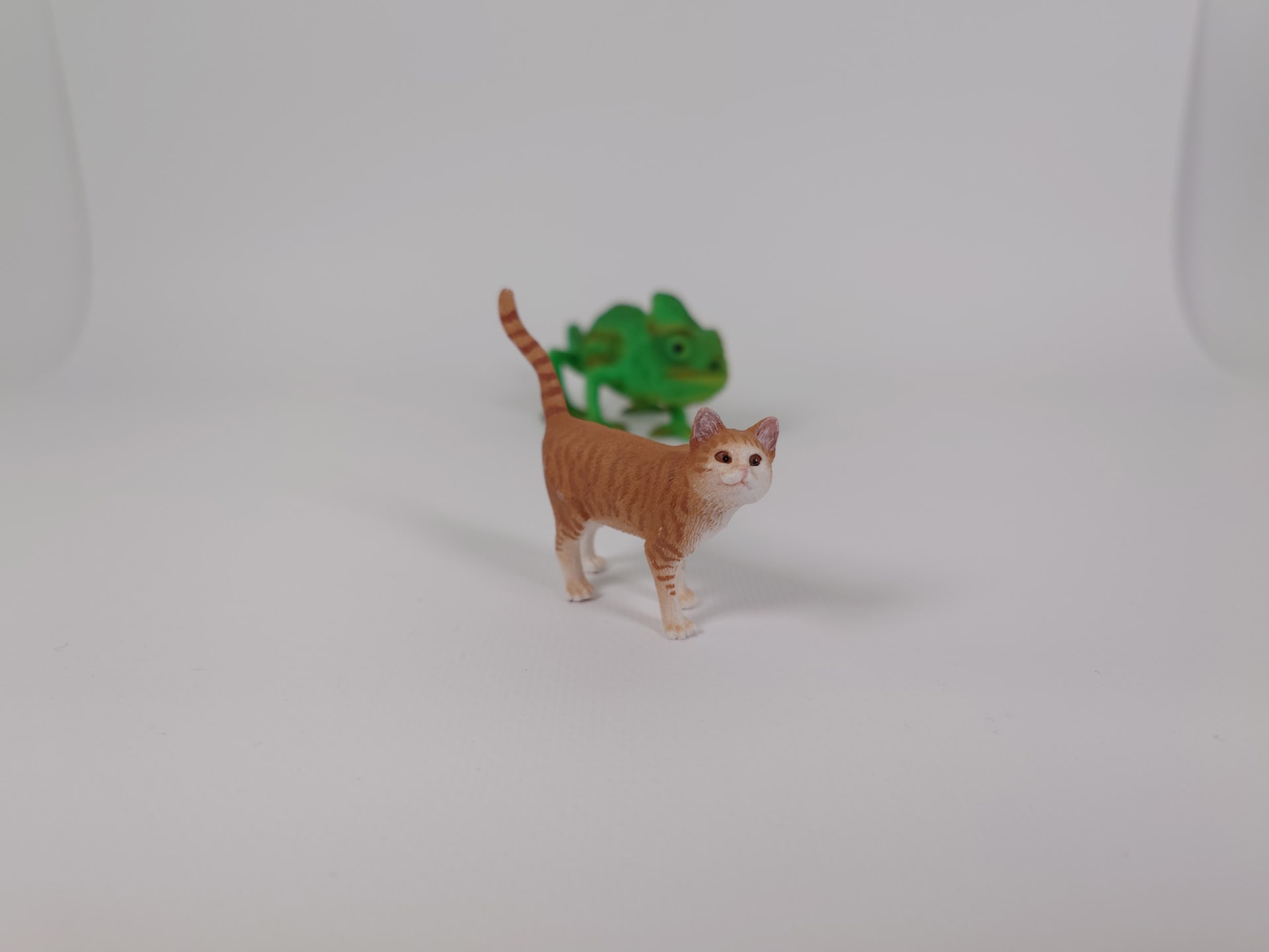 前に焦点をあわせた