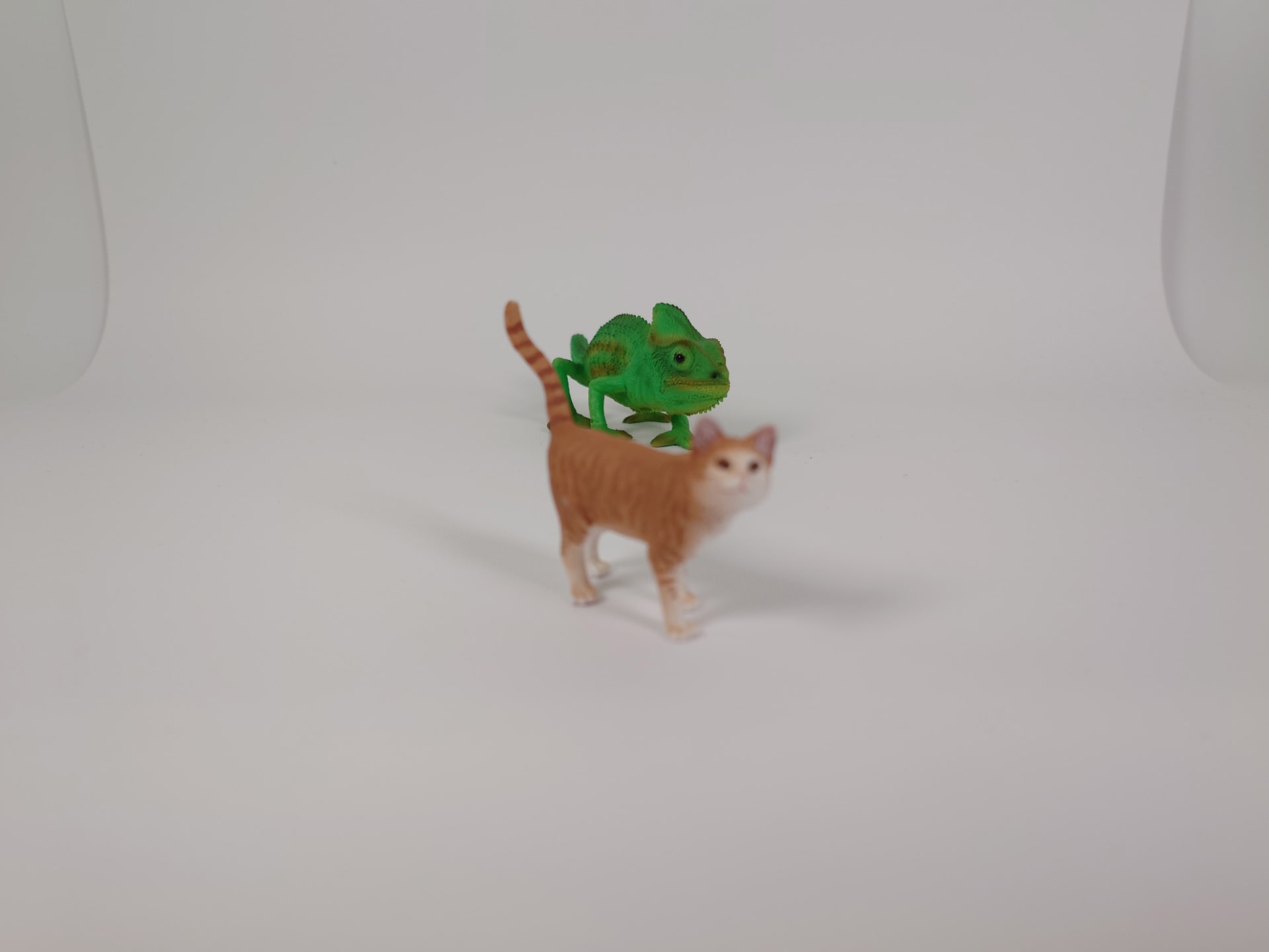 後ろに焦点をあわせた