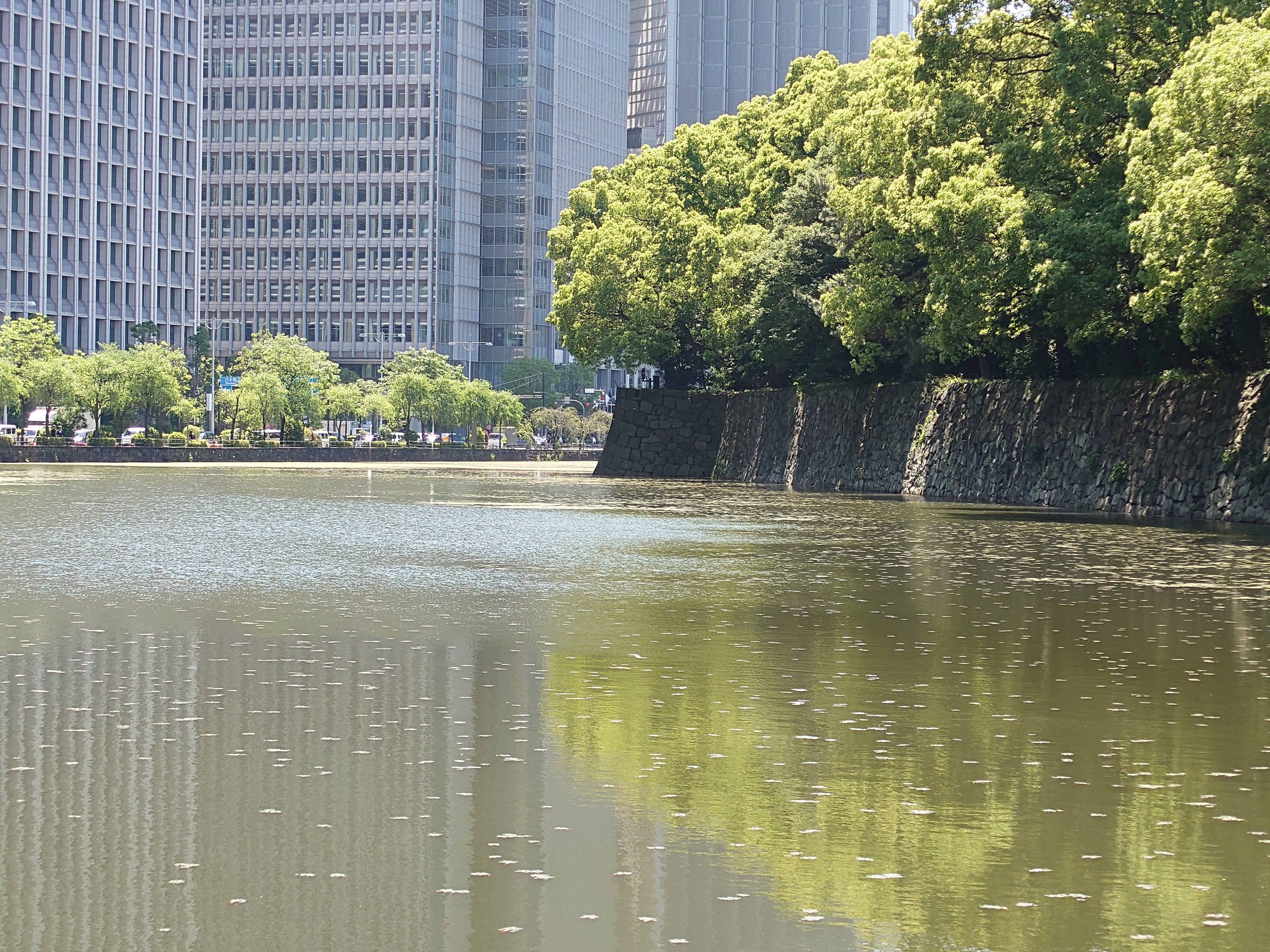 85mm（望遠、光学）