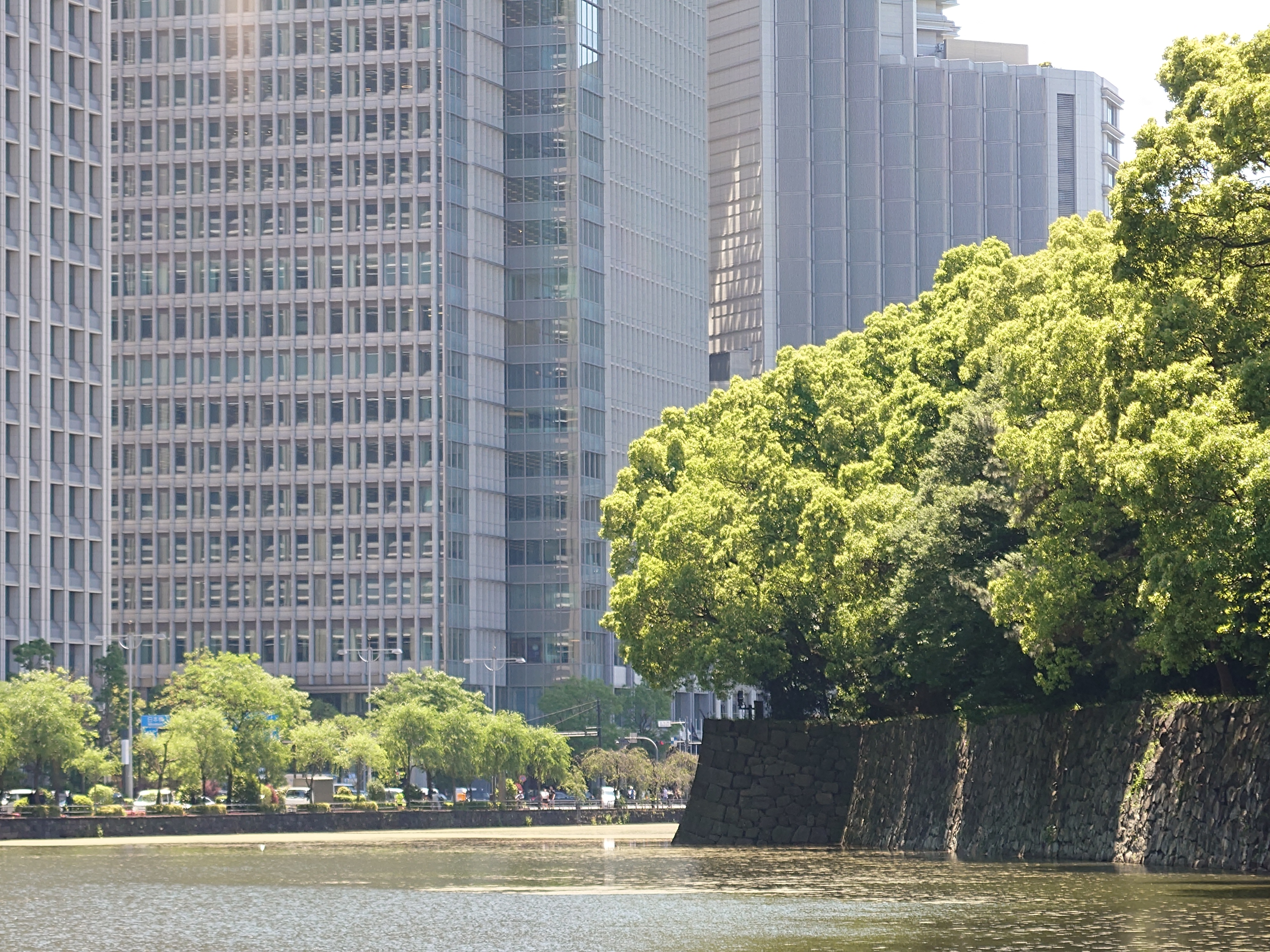 125mm（望遠、光学）