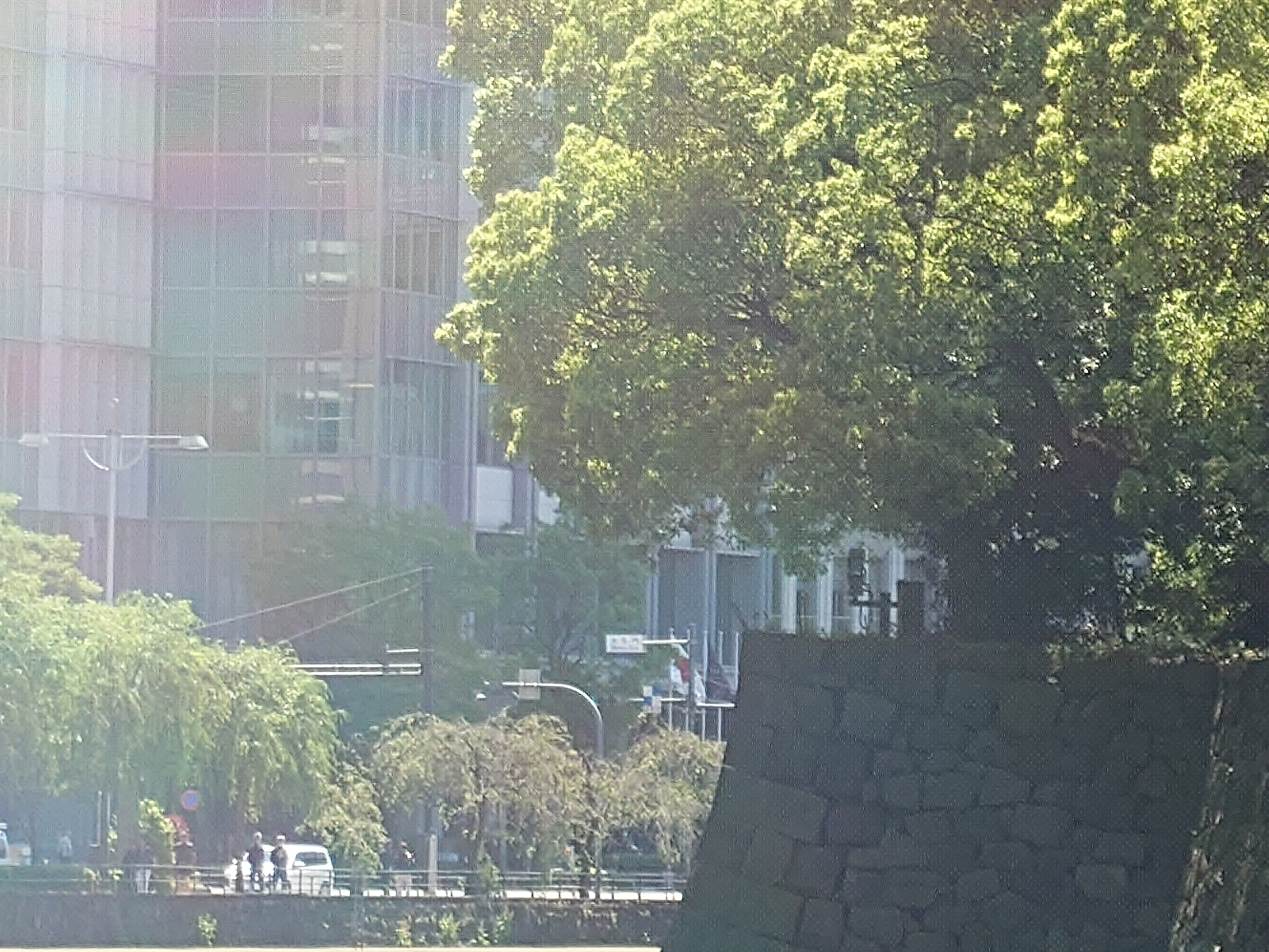 300mm（望遠、デジタルズーム）